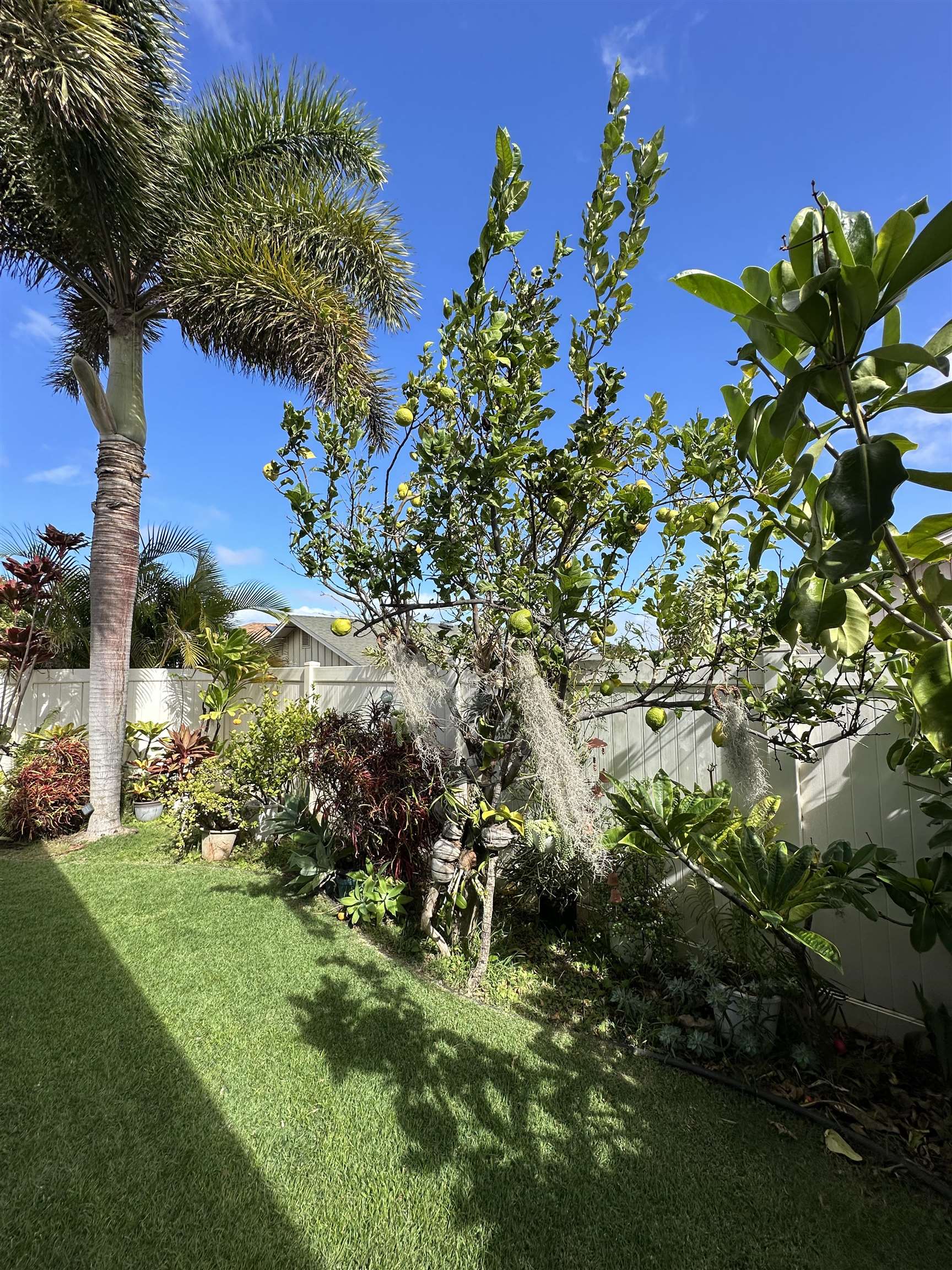81 Kamahao St Property Photo 40