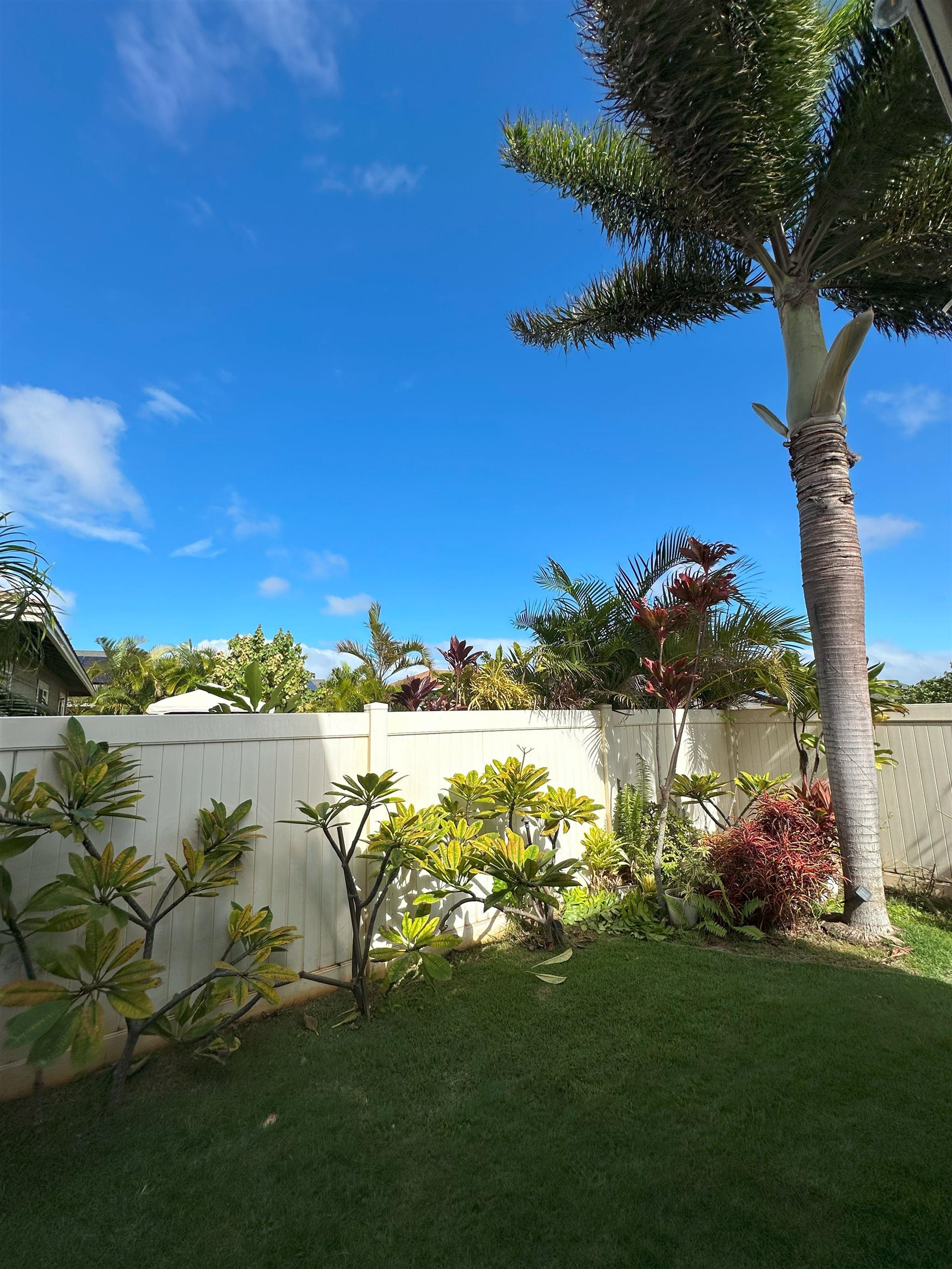 81 Kamahao St Property Photo 41