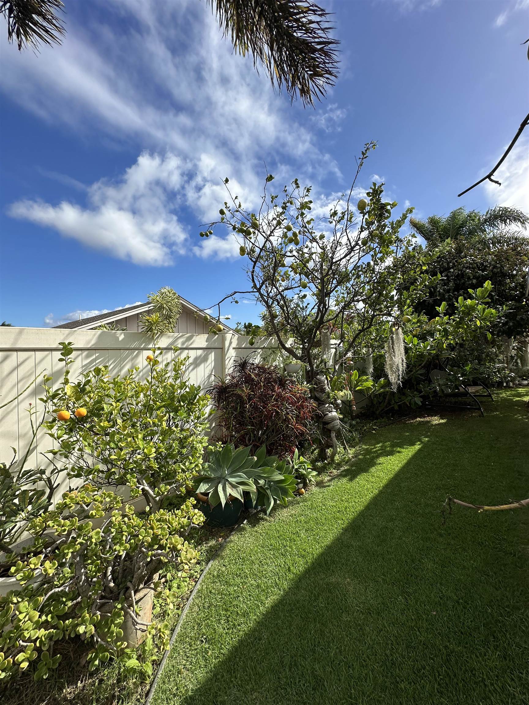 81 Kamahao St Property Photo 42