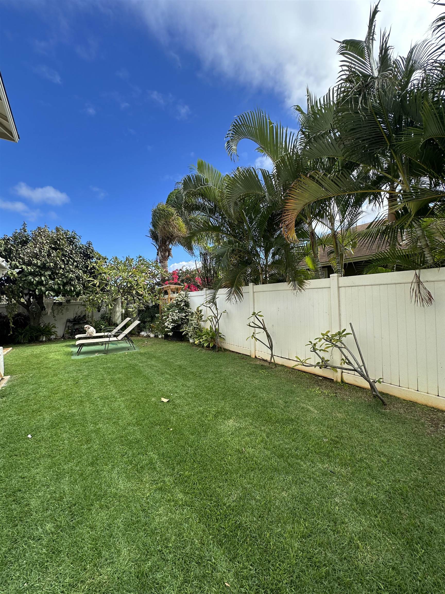 81 Kamahao St Property Photo 43