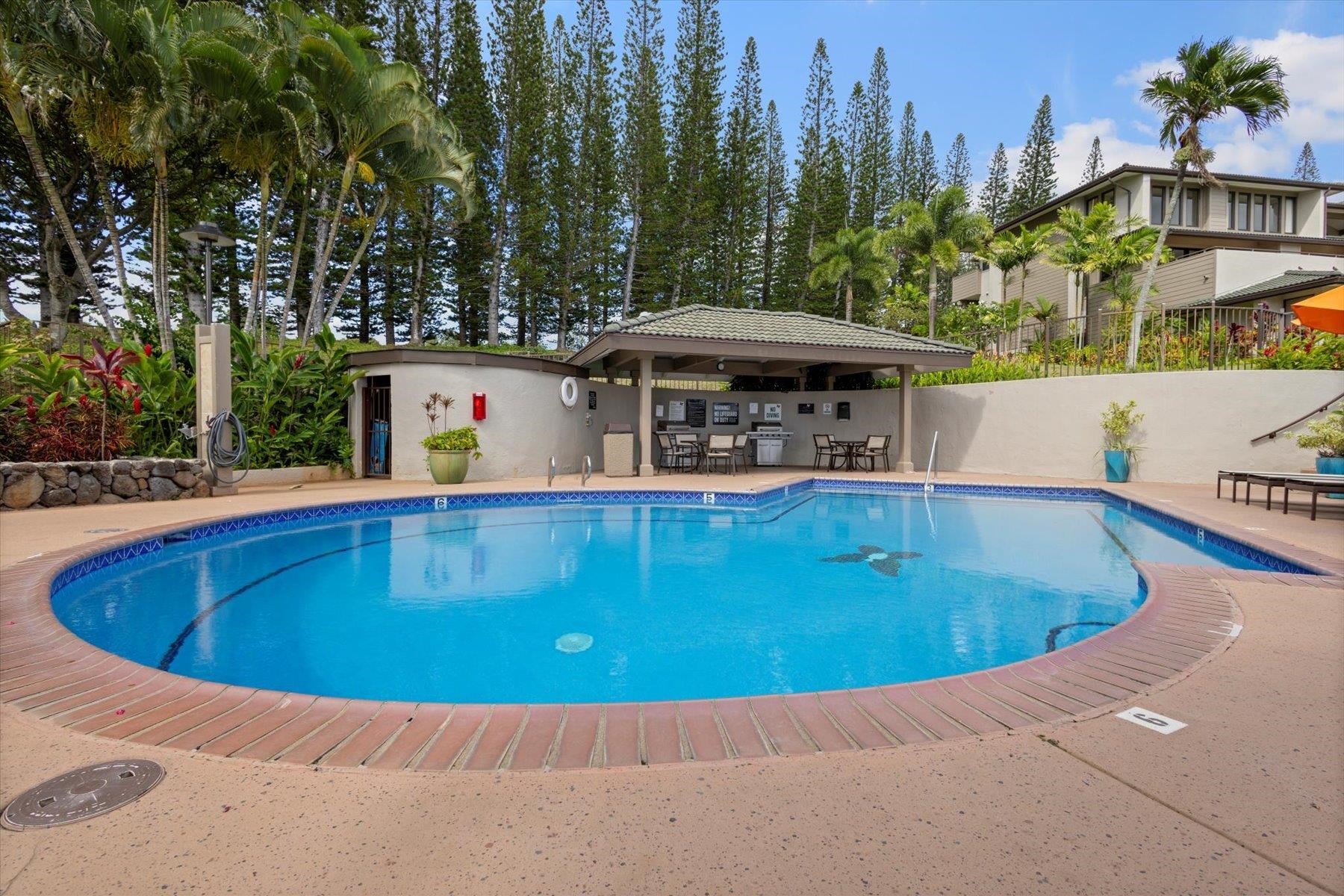 500 Kapalua Dr Property Photo 29