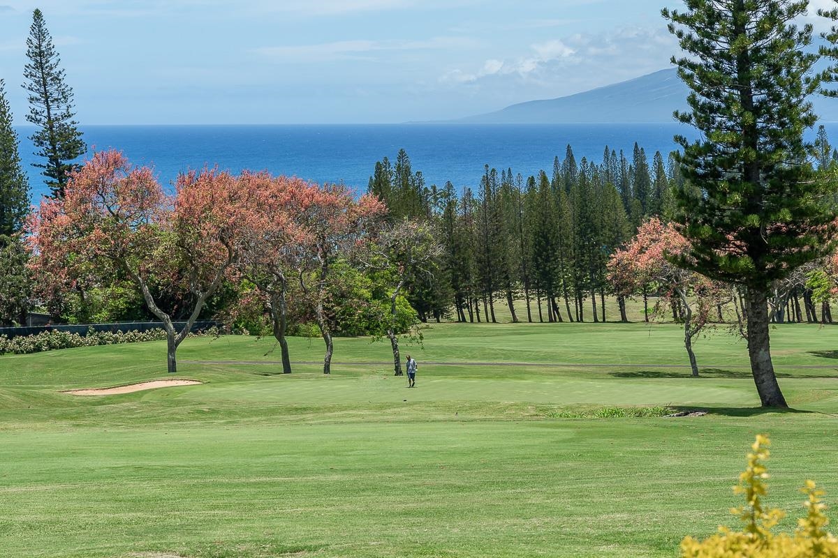 500 Kapalua Dr Property Photo 6