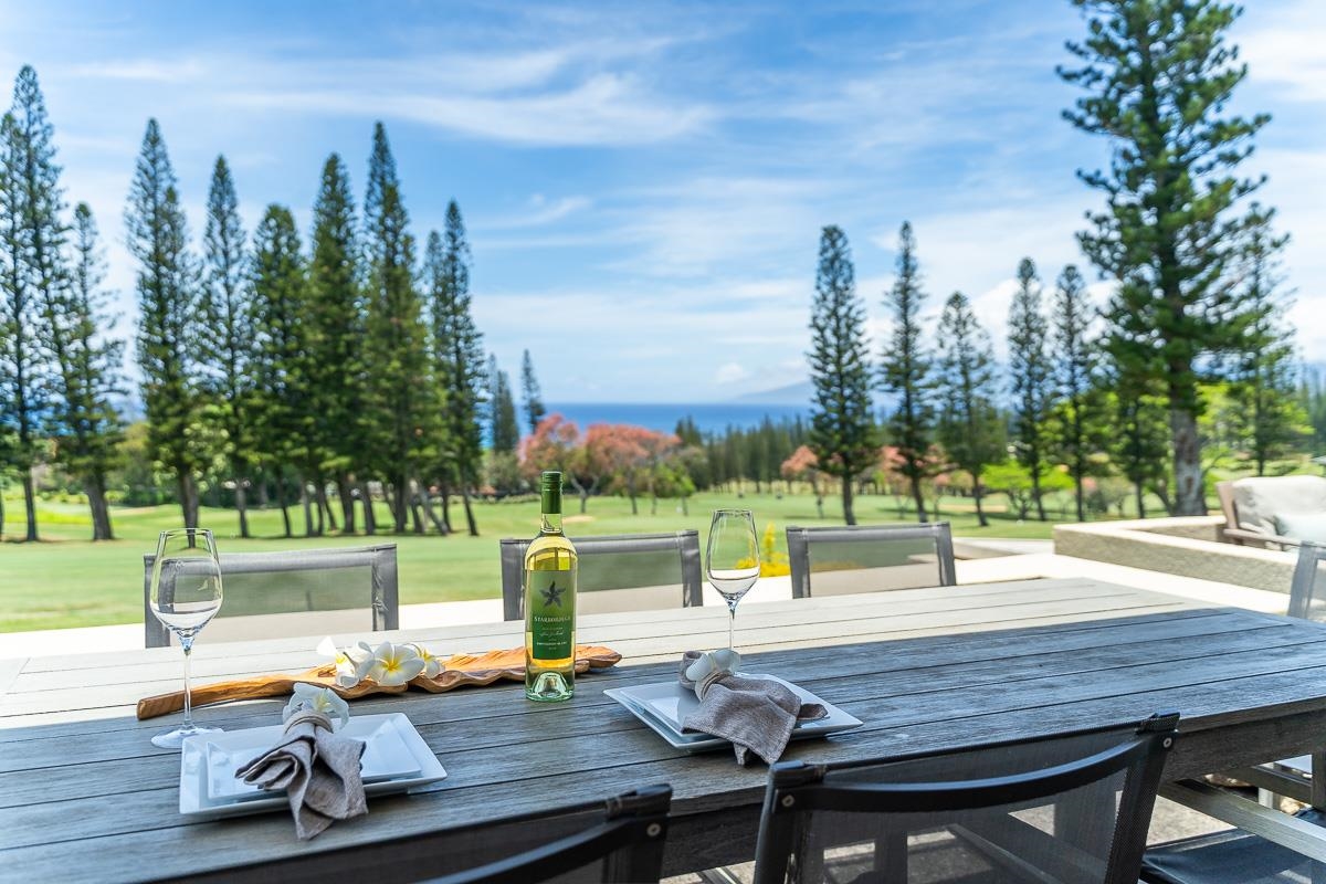 500 Kapalua Dr Property Photo 40