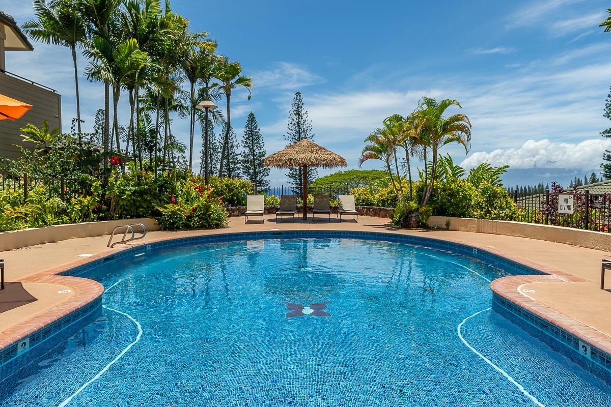 500 Kapalua Dr Property Photo 47