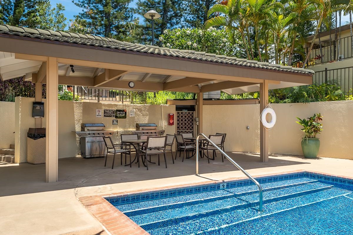 500 Kapalua Dr Property Photo 48