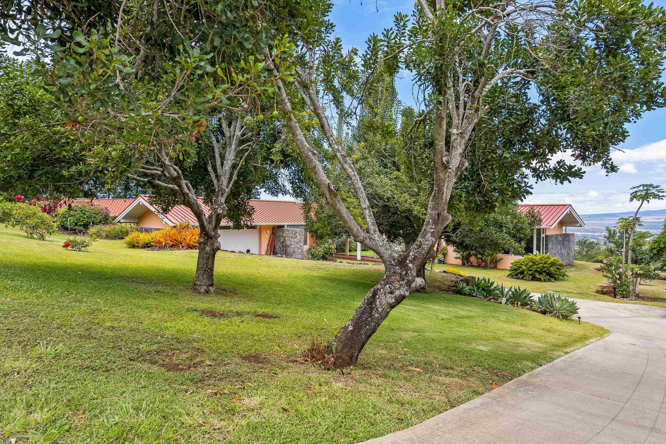 81 Maika St Property Photo 39