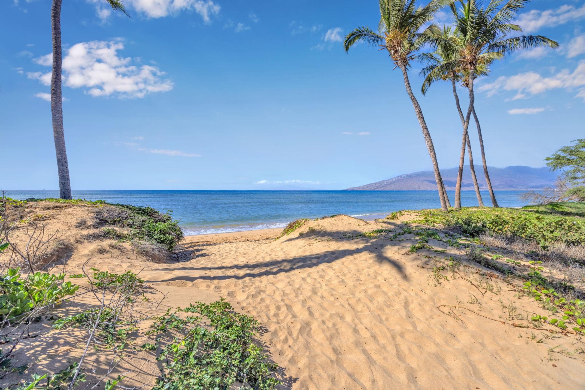 1450 S Kihei Rd Property Photo 39
