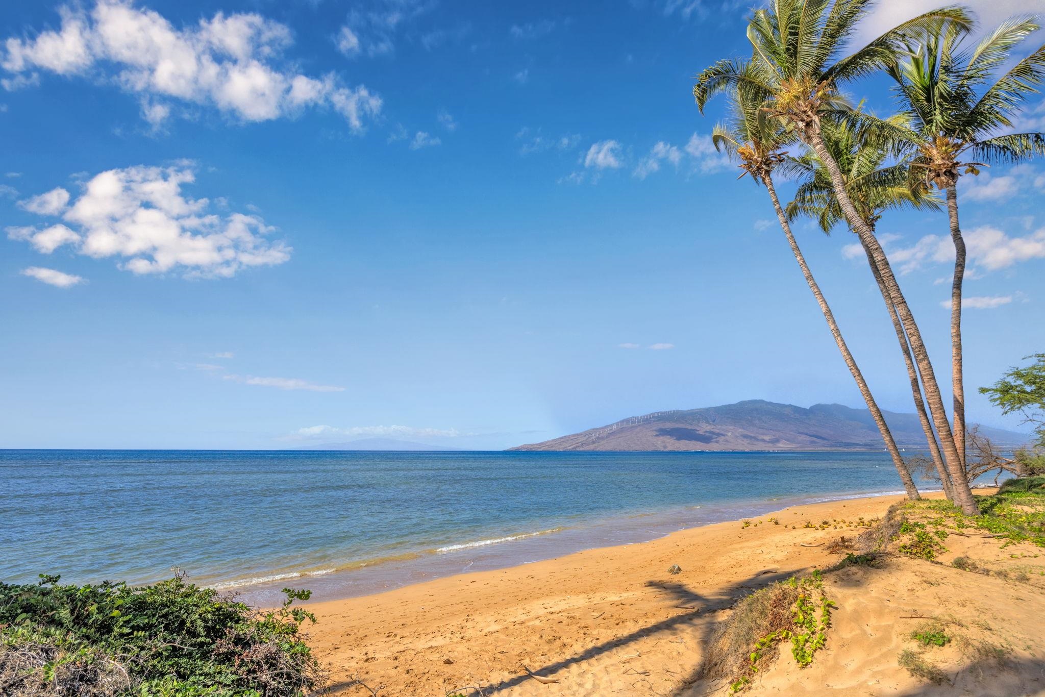 1450 S Kihei Rd Property Photo 40