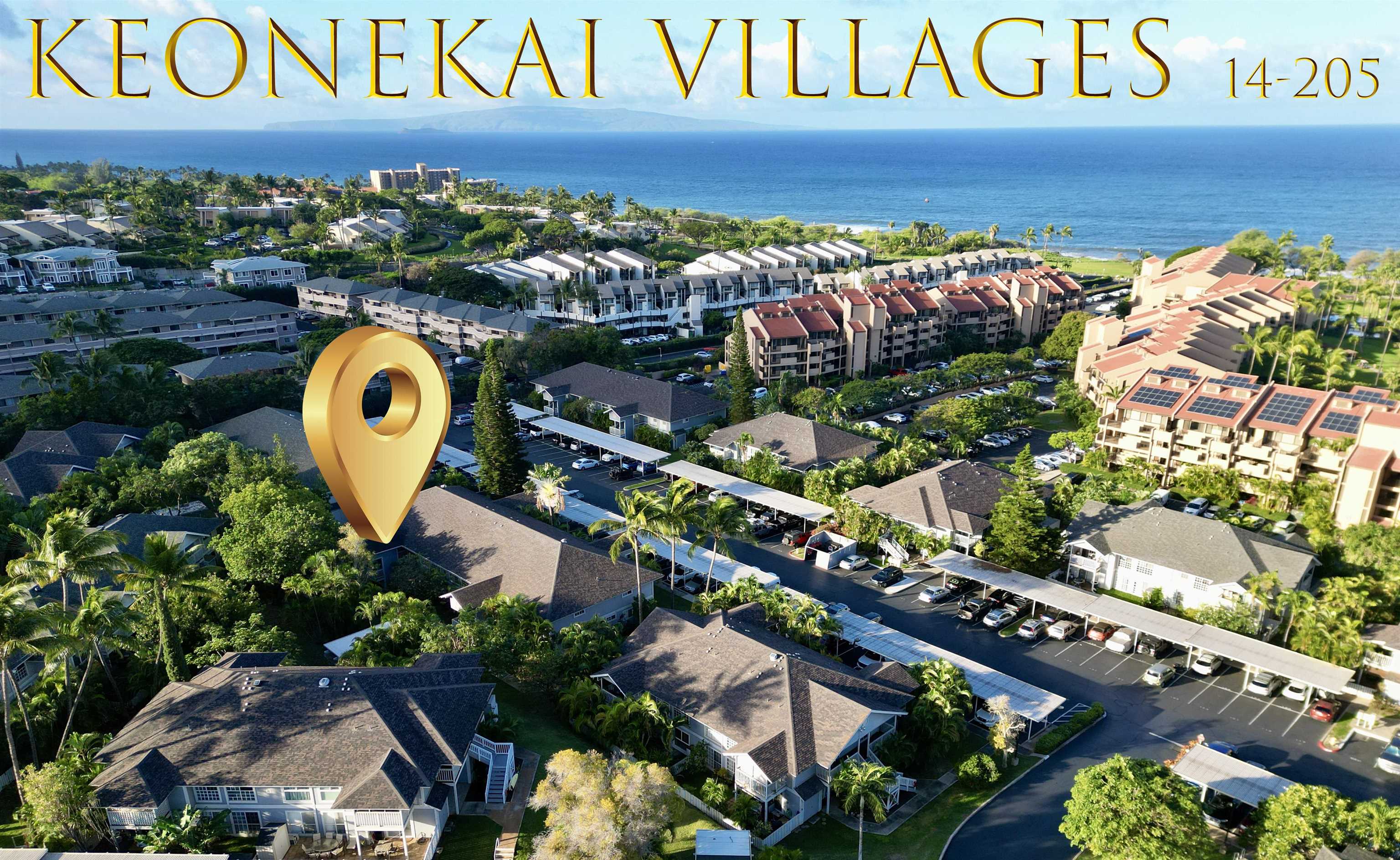 160 Keonekai Rd Property Photo 2