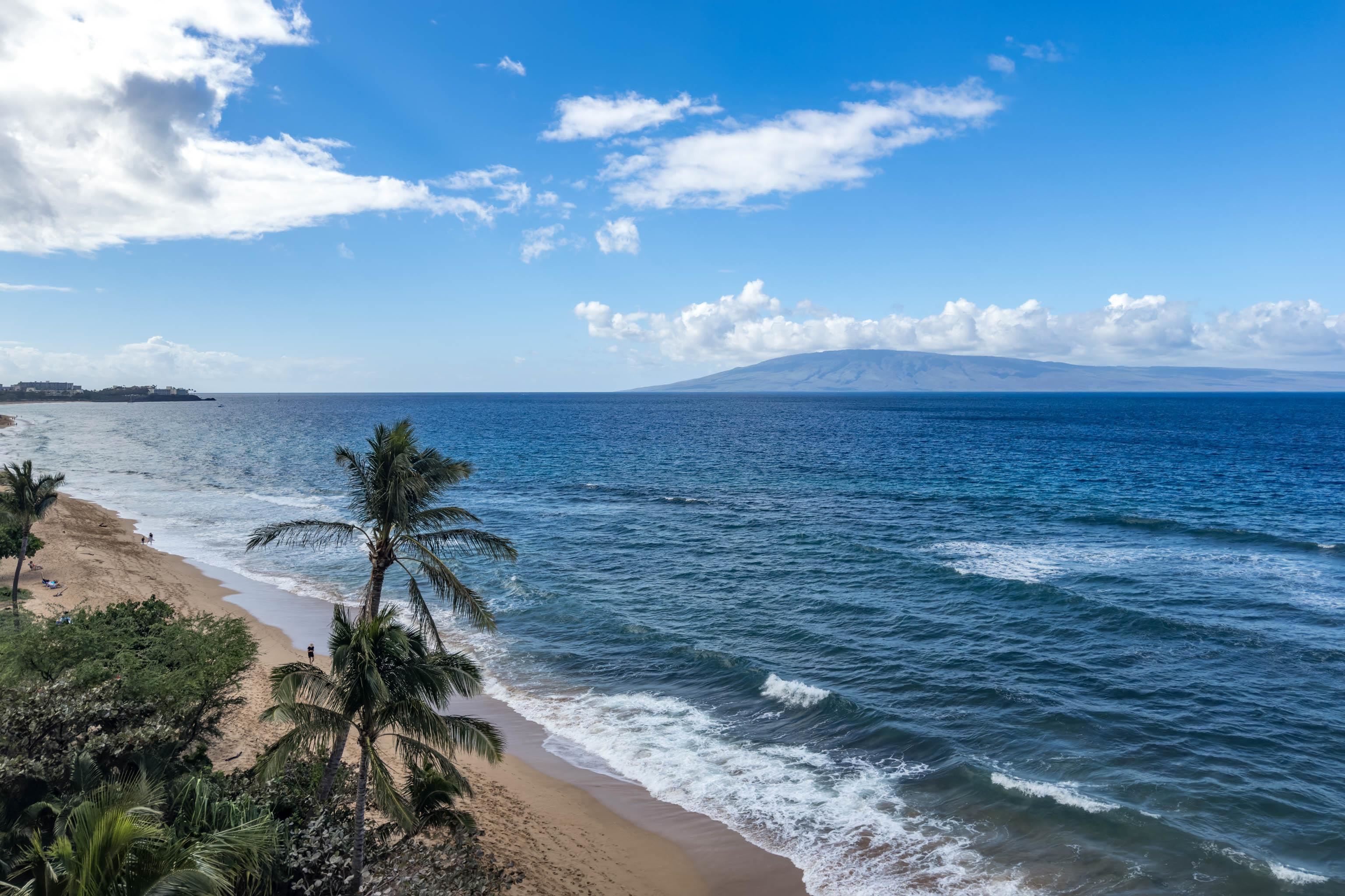 110 Kaanapali Shores Pl Property Photo 5