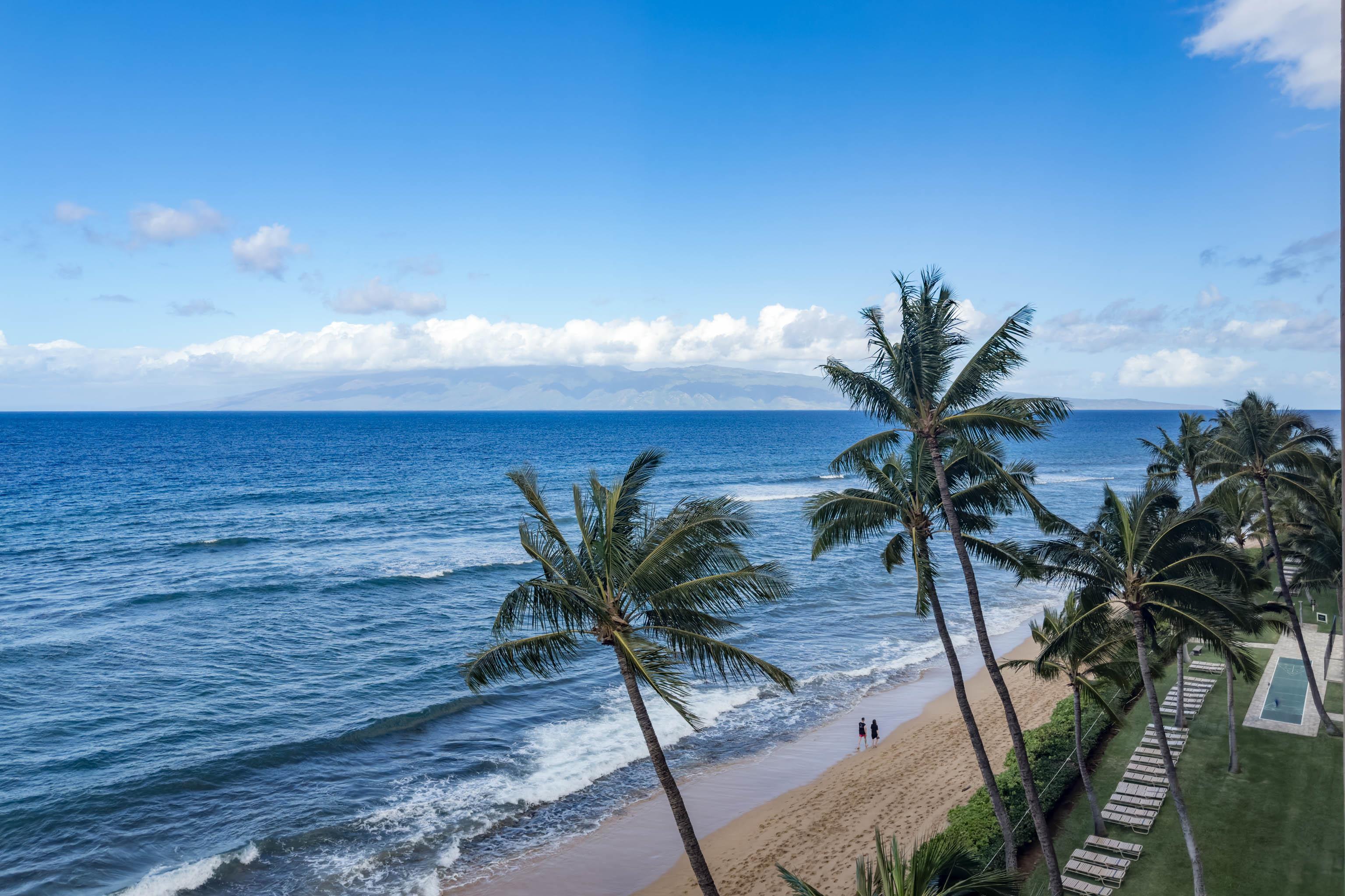 110 Kaanapali Shores Pl Property Photo 6