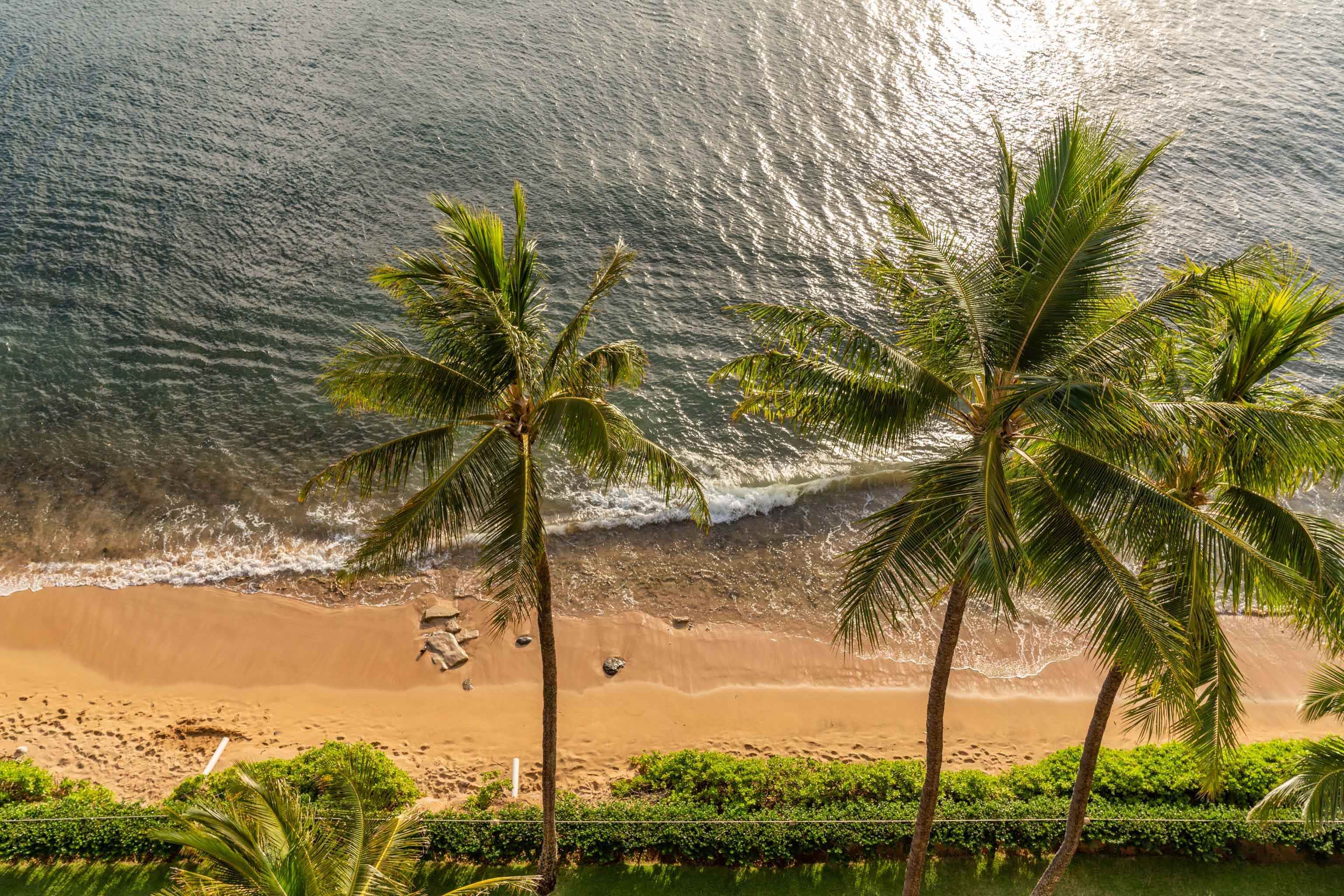 110 Kaanapali Shores Pl Property Photo 34