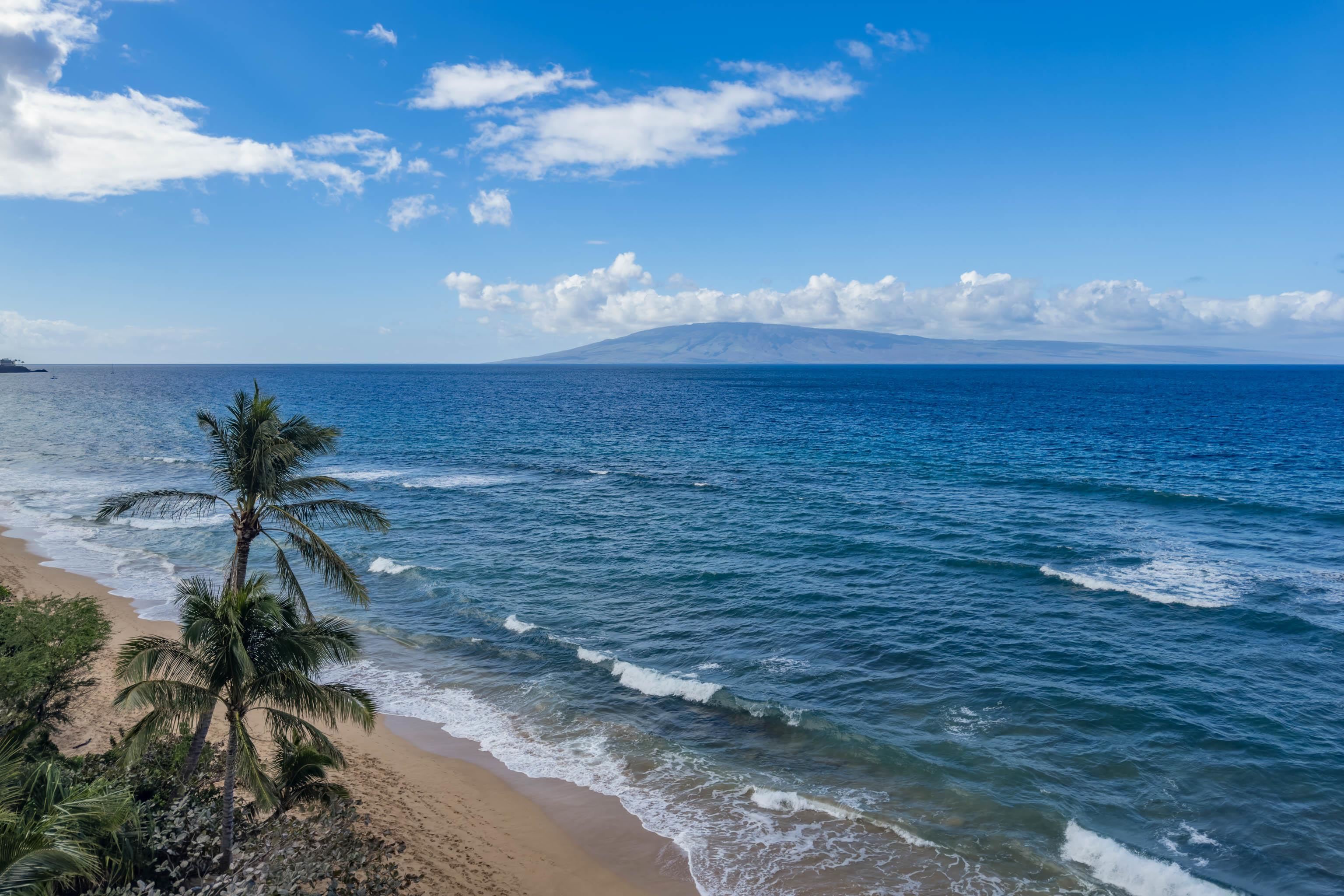110 Kaanapali Shores Pl Property Photo 42