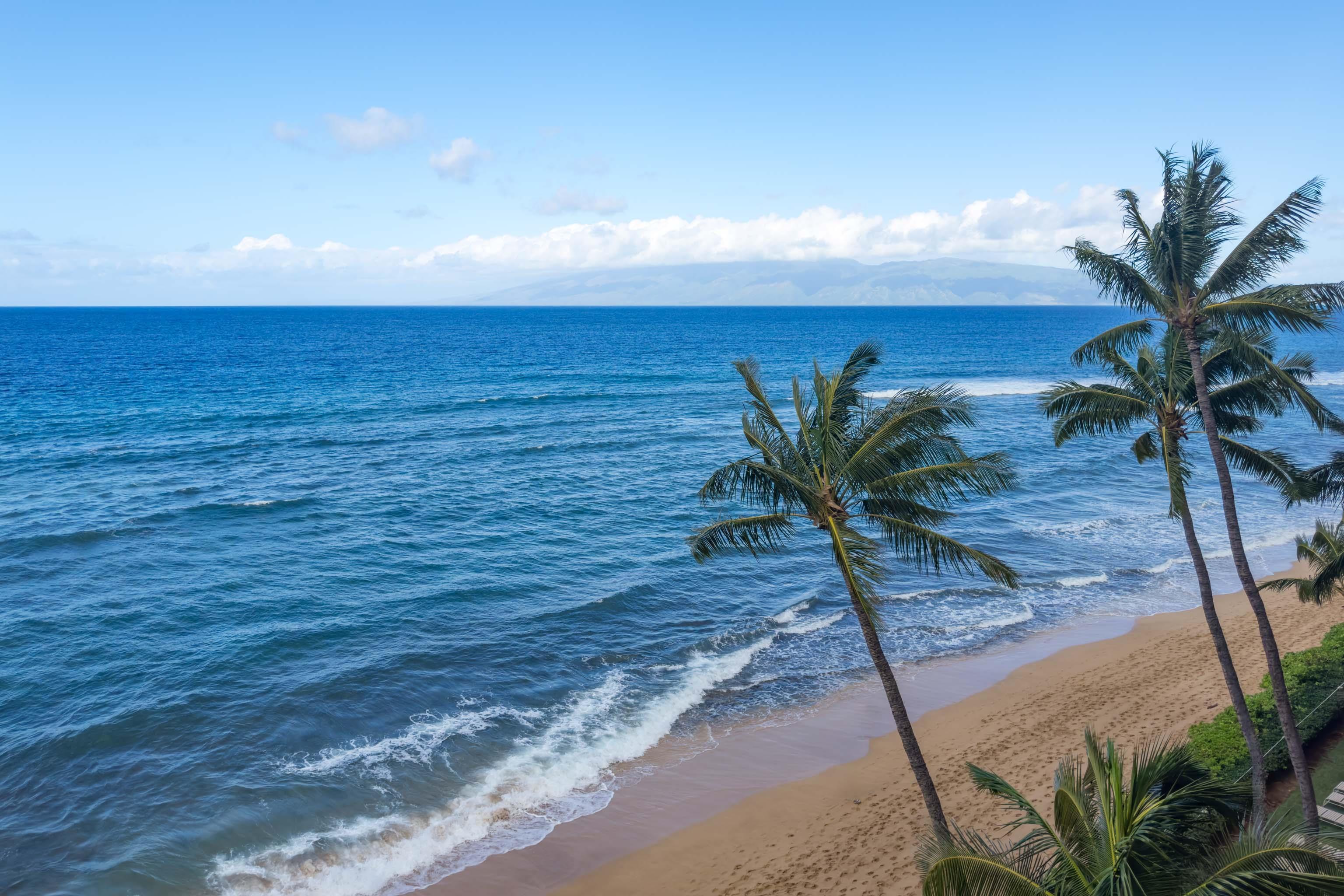 110 Kaanapali Shores Pl Property Photo 43