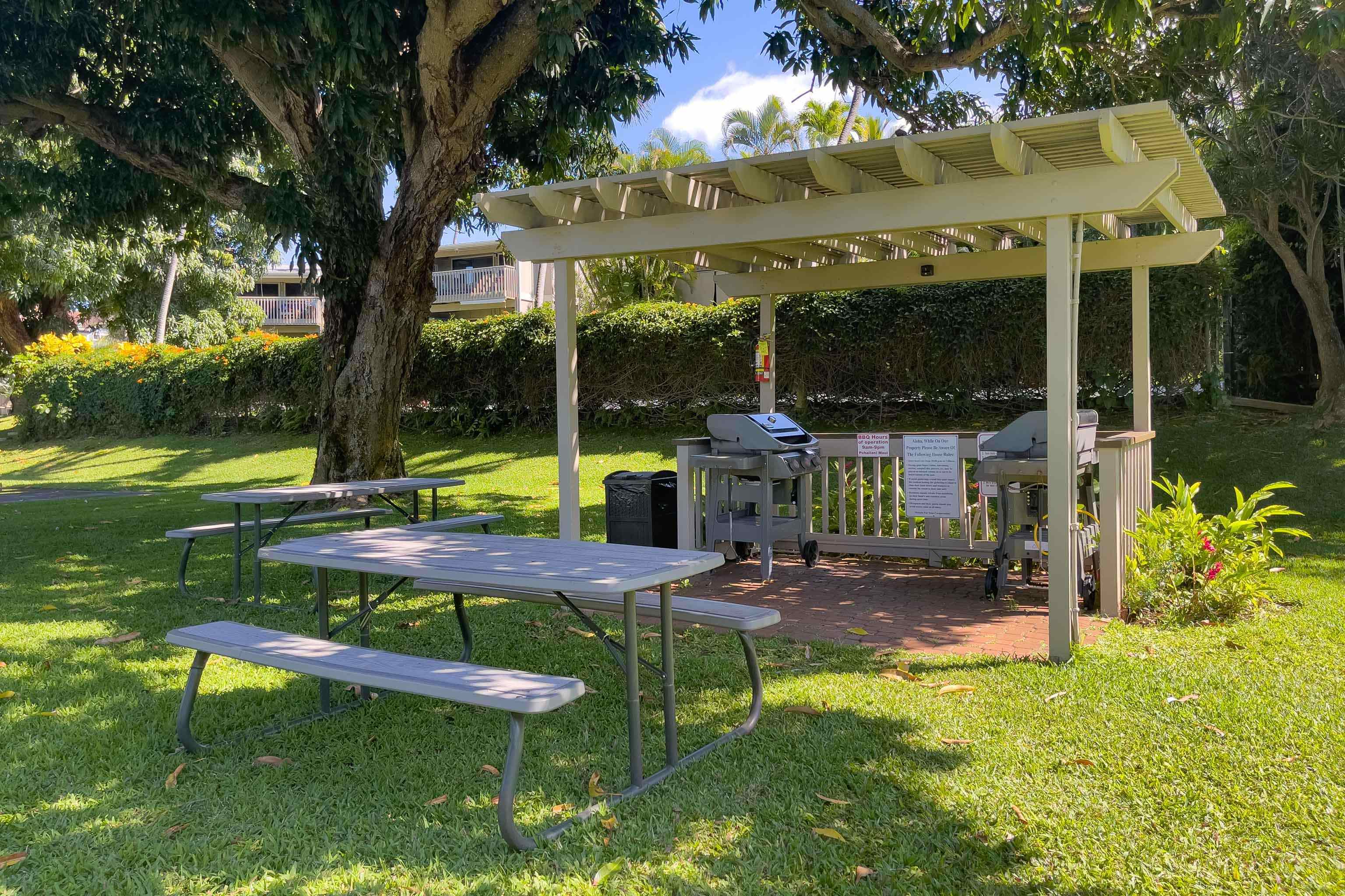 4440 Lower Honoapiilani Rd Property Photo 24