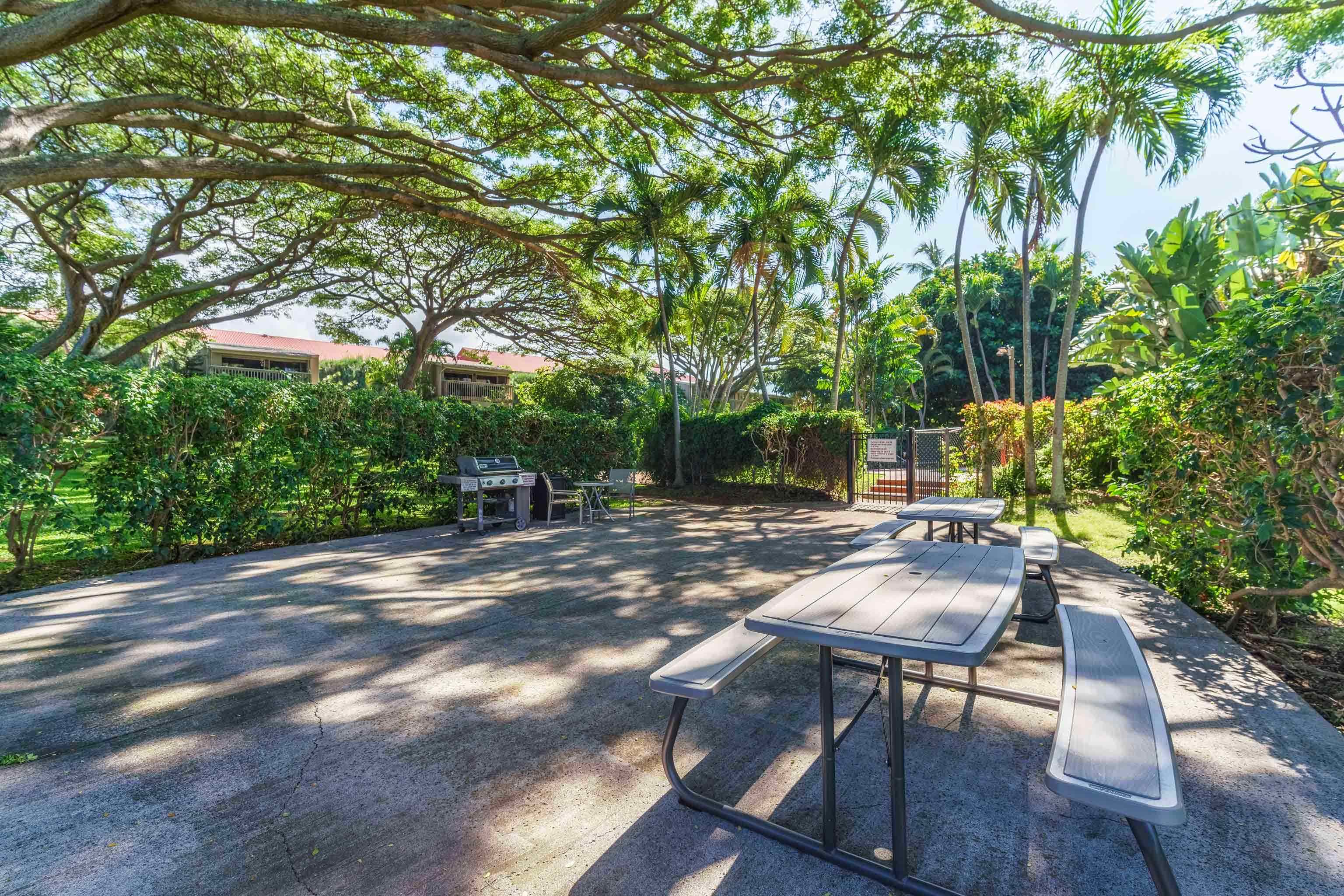 4440 Lower Honoapiilani Rd Property Photo 28