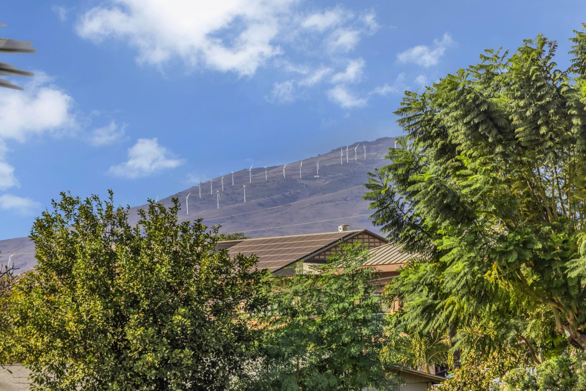 89 Kupalaiki Loop Property Photo 26