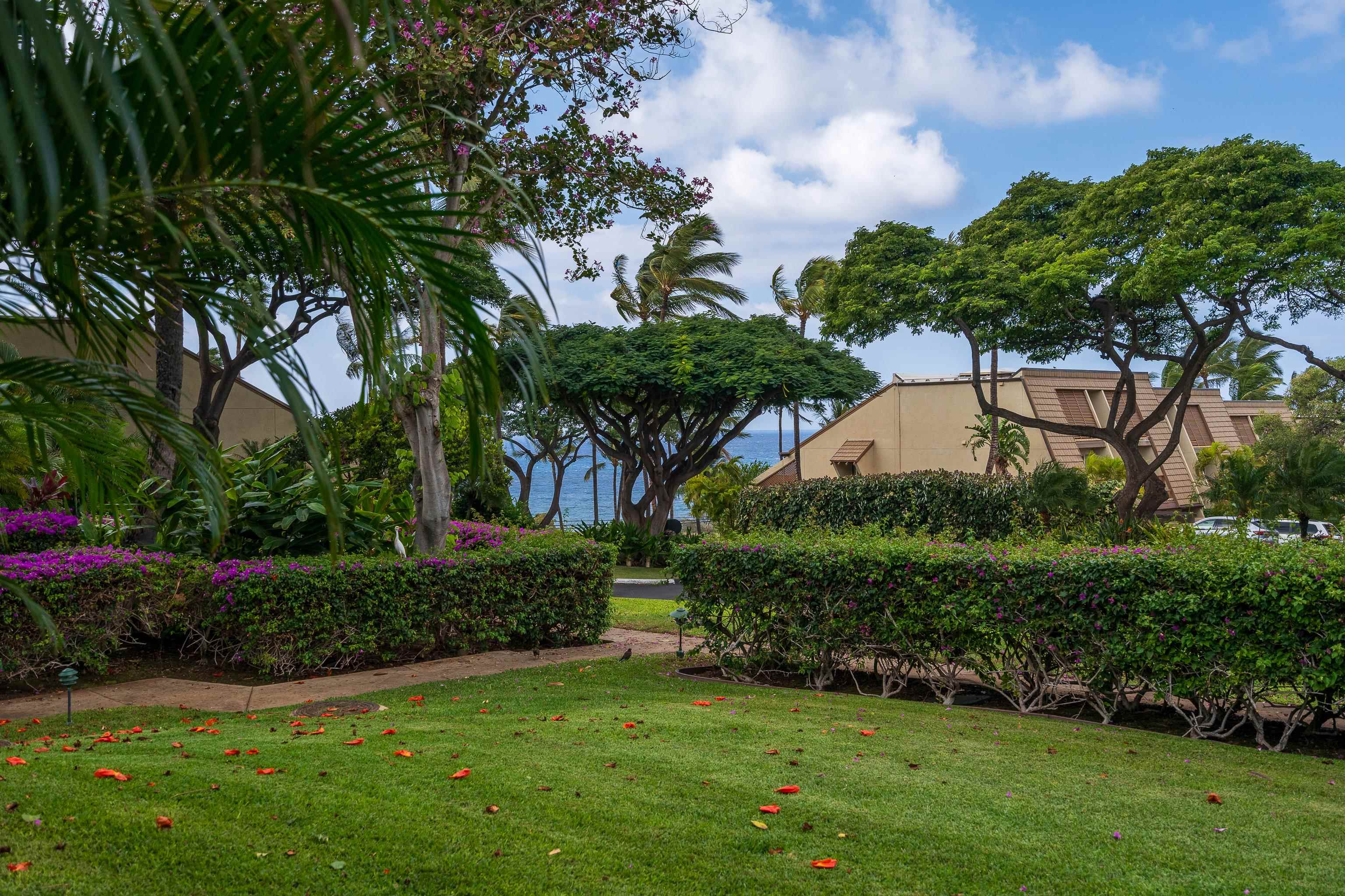 2777 S Kihei Rd Property Photo 10