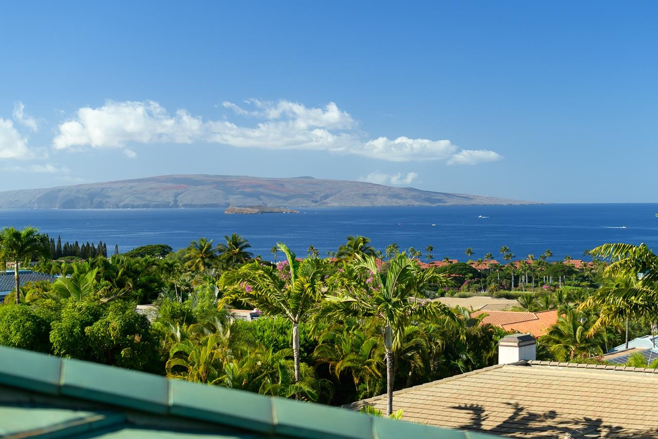 3885 Wailea Ekolu Pl Property Photo 17