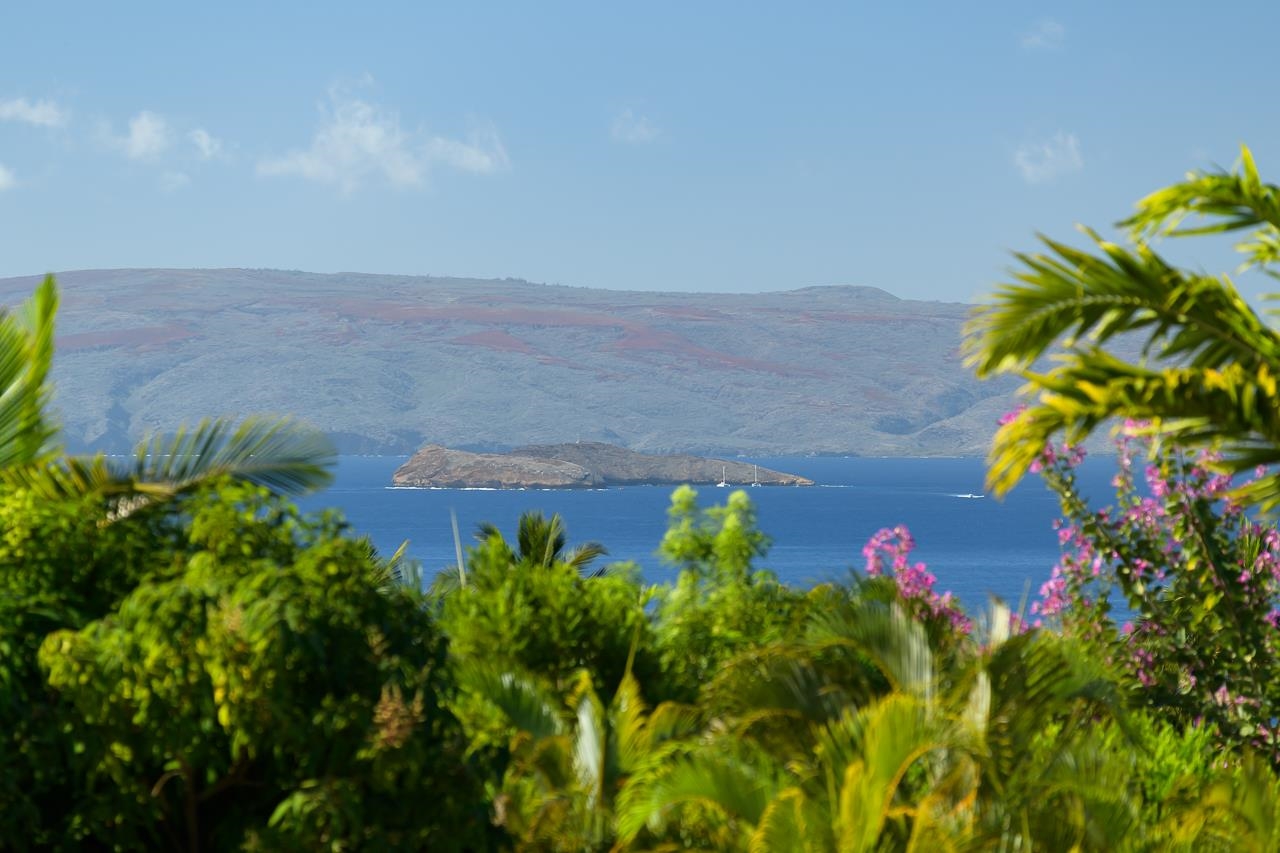 3885 Wailea Ekolu Pl Property Photo 18