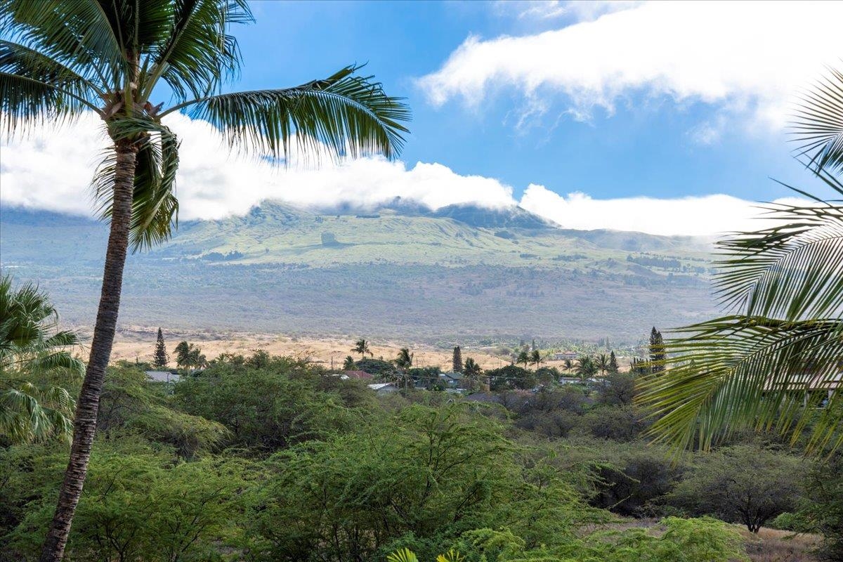 2575 S Kihei Rd Property Photo 22