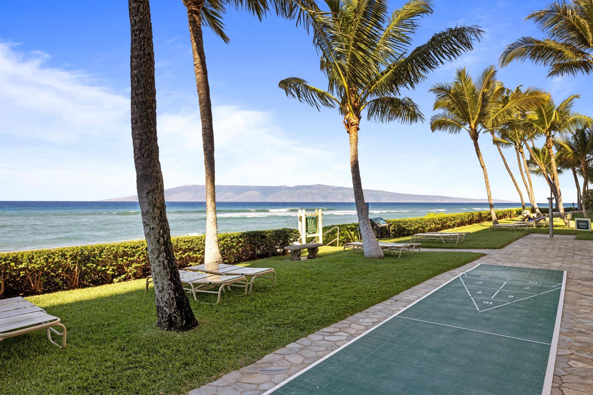 110 Kaanapali Shores Pl Property Photo 42