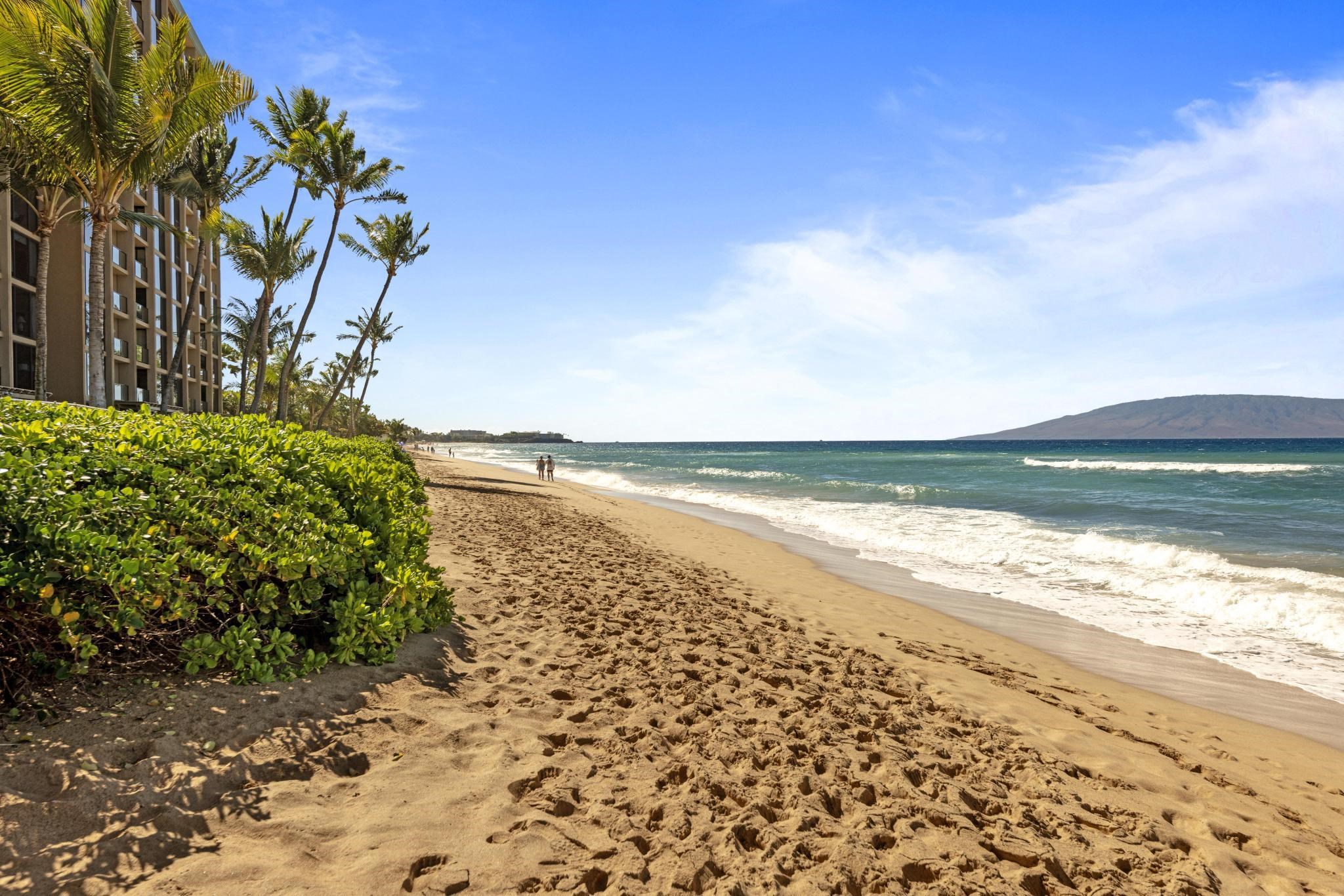 110 Kaanapali Shores Pl Property Photo 46