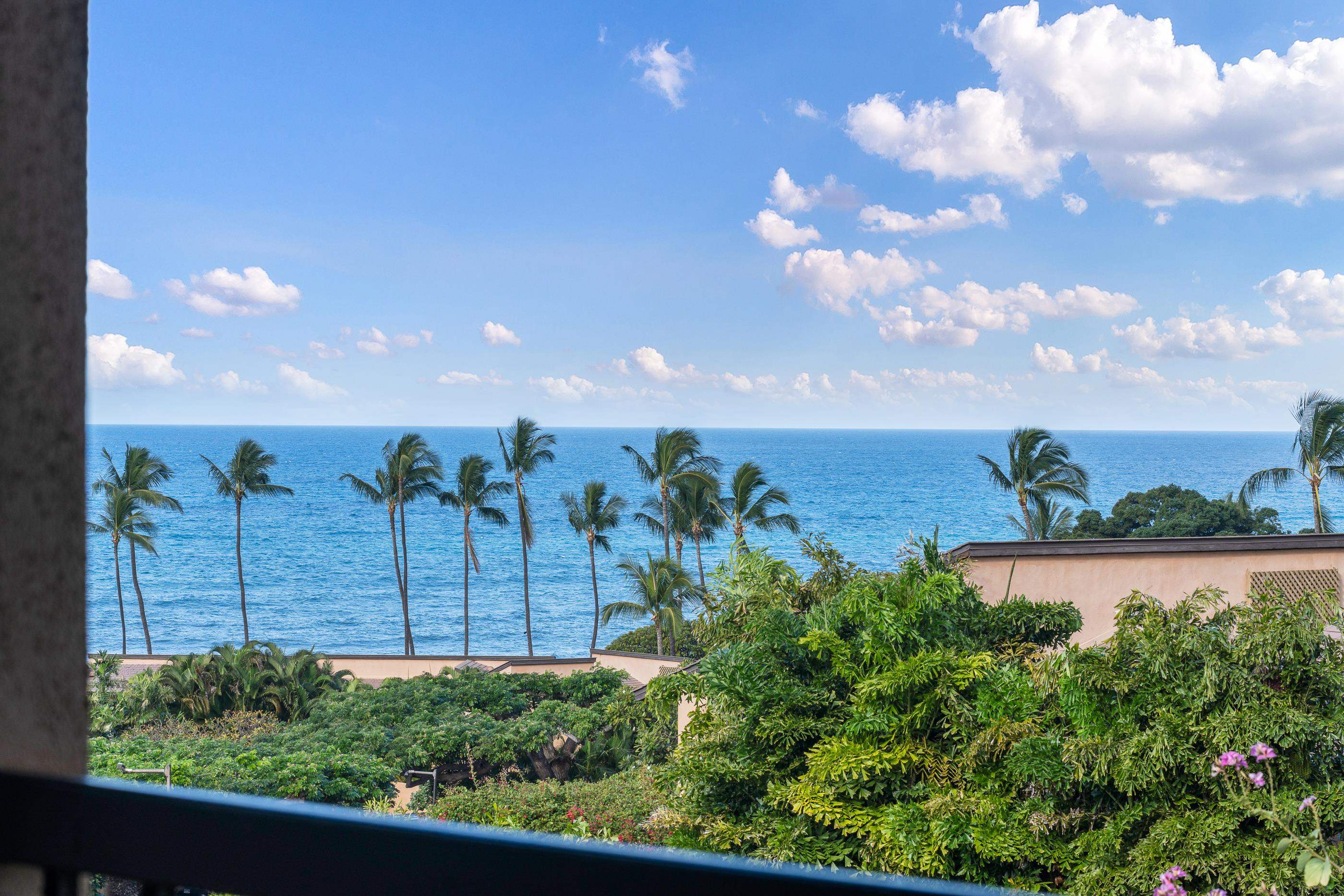 3300 Wailea Alanui Dr Property Photo 2