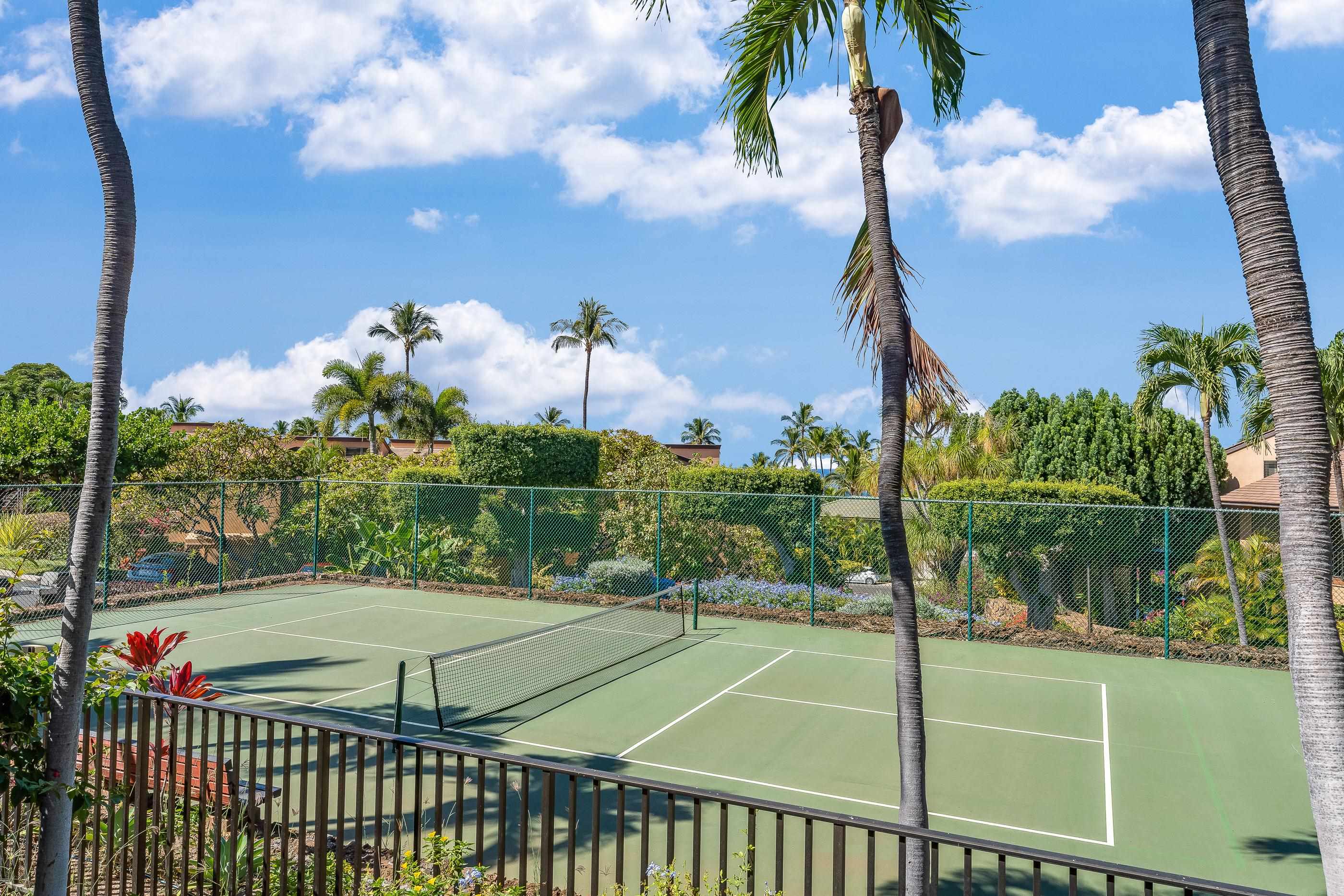 3300 Wailea Alanui Dr Property Photo 28