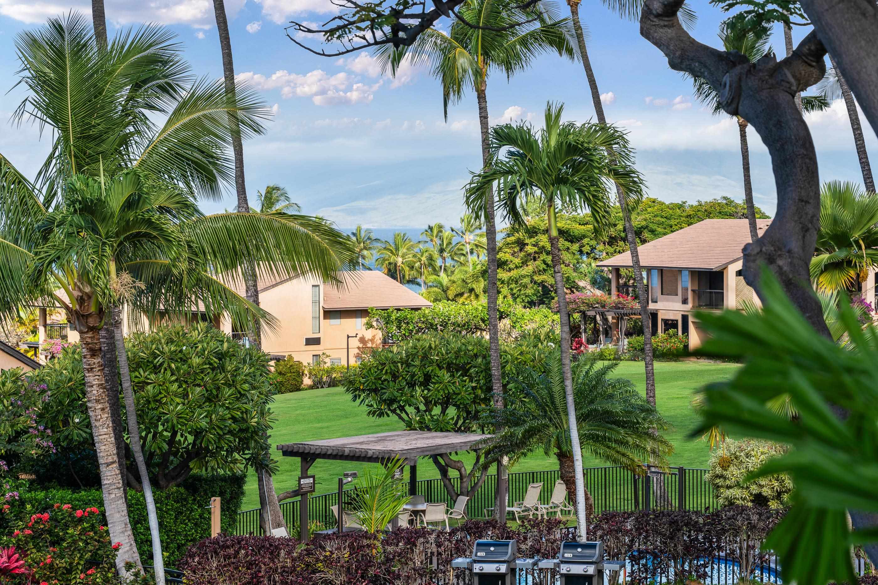 3300 Wailea Alanui Dr Property Photo 39