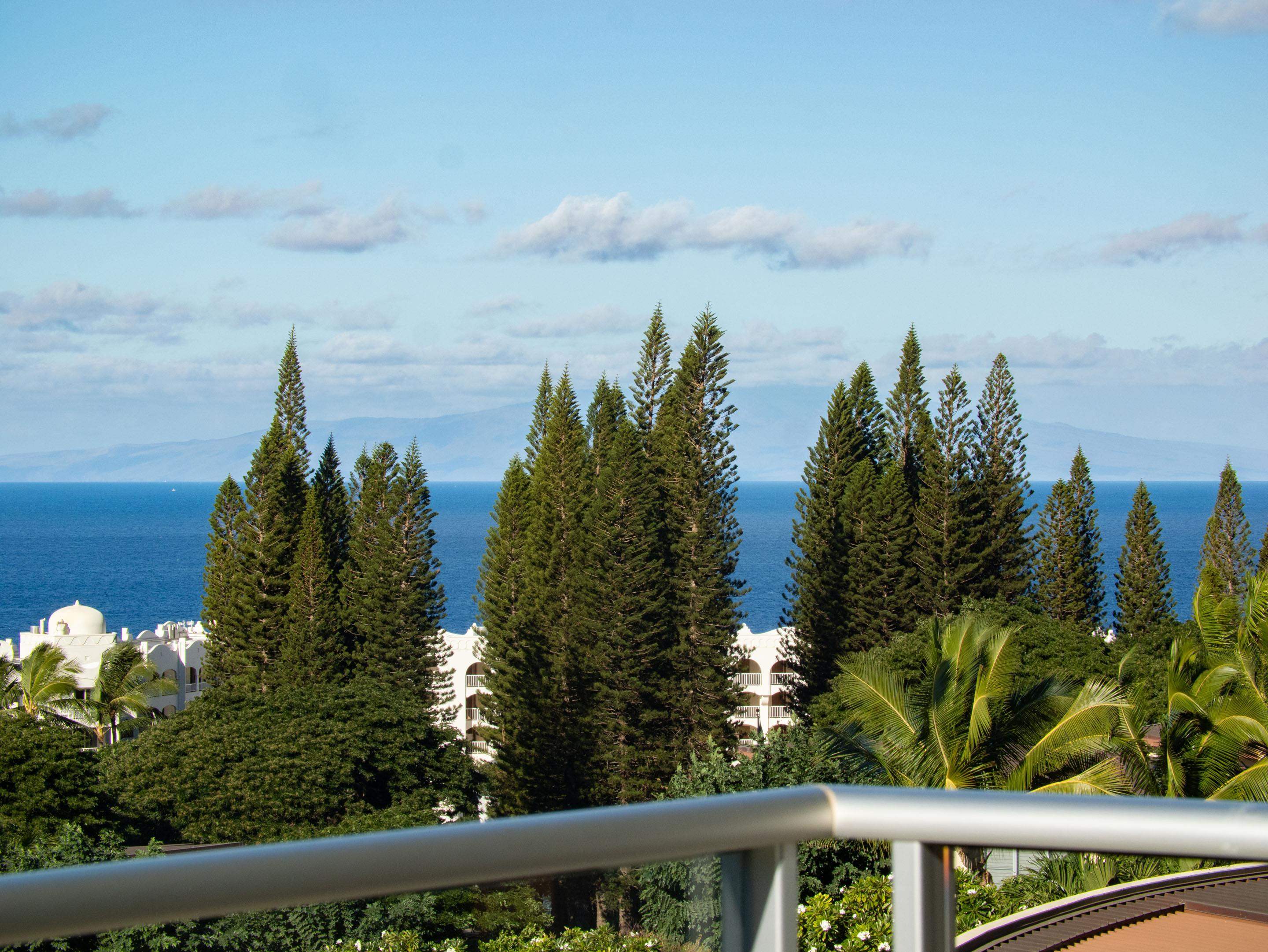244 Holomoana Way Property Photo 15