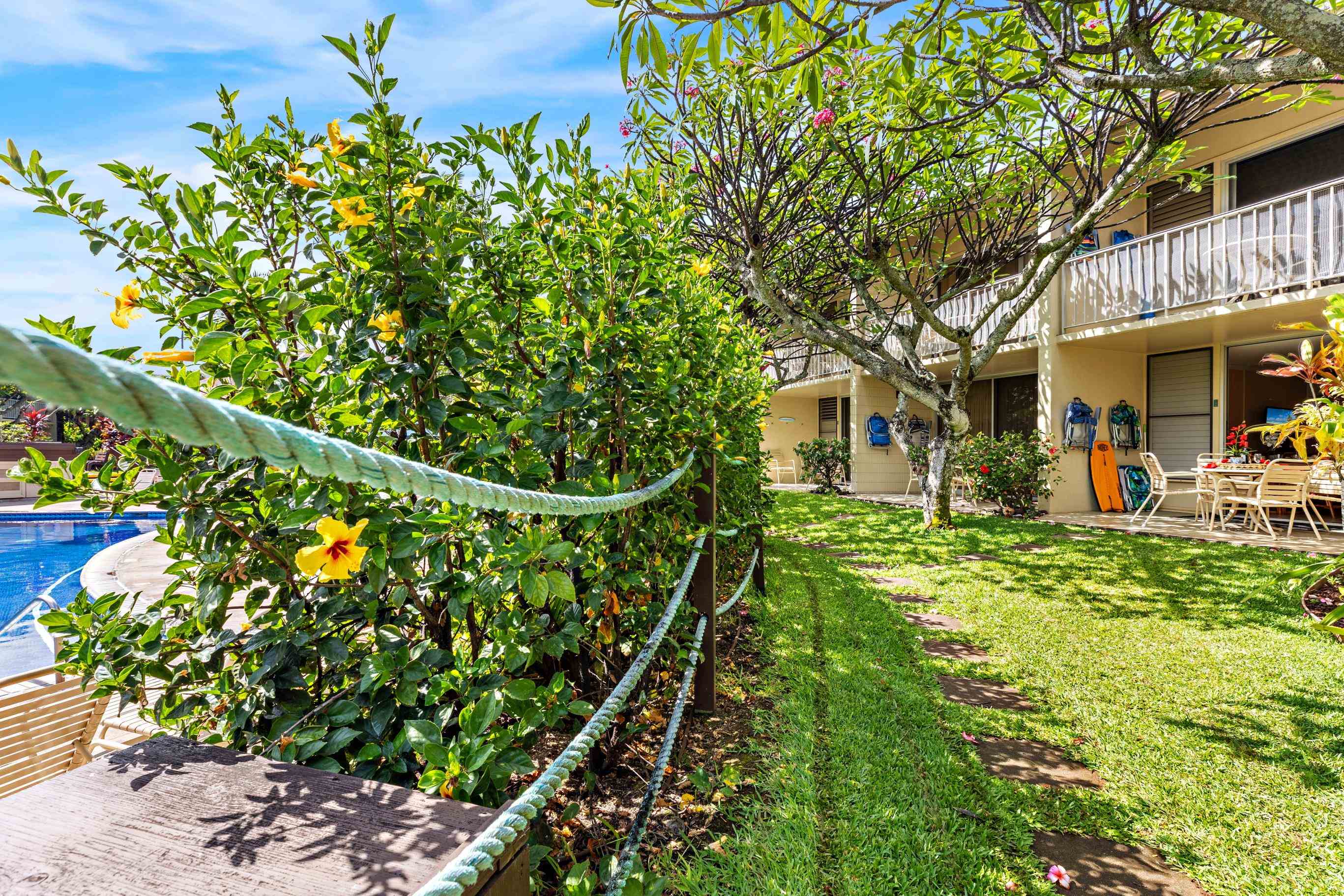 5315 Lower Honoapiilani Rd Property Photo 6