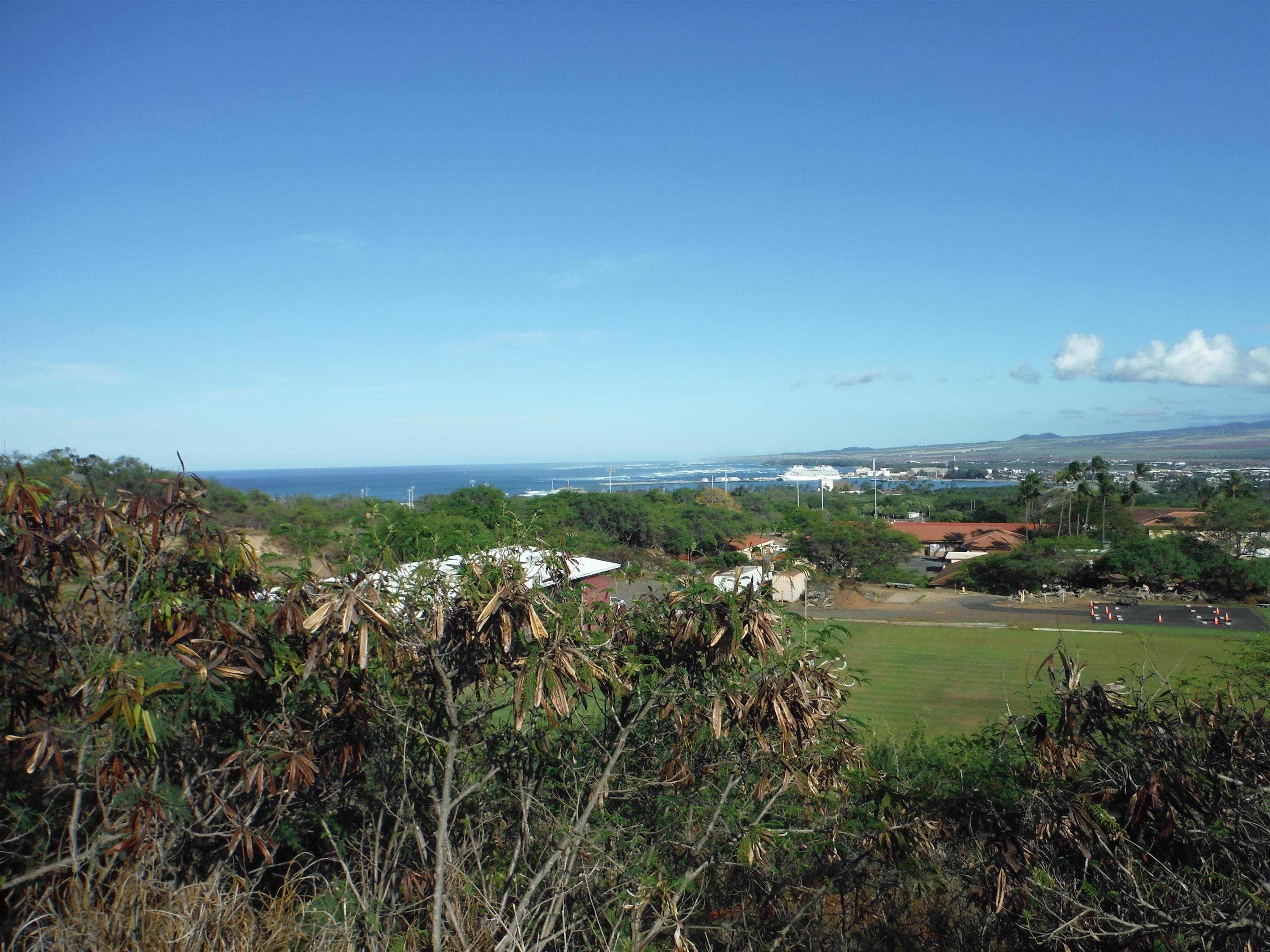 91 Lunalilo St Property Photo 6
