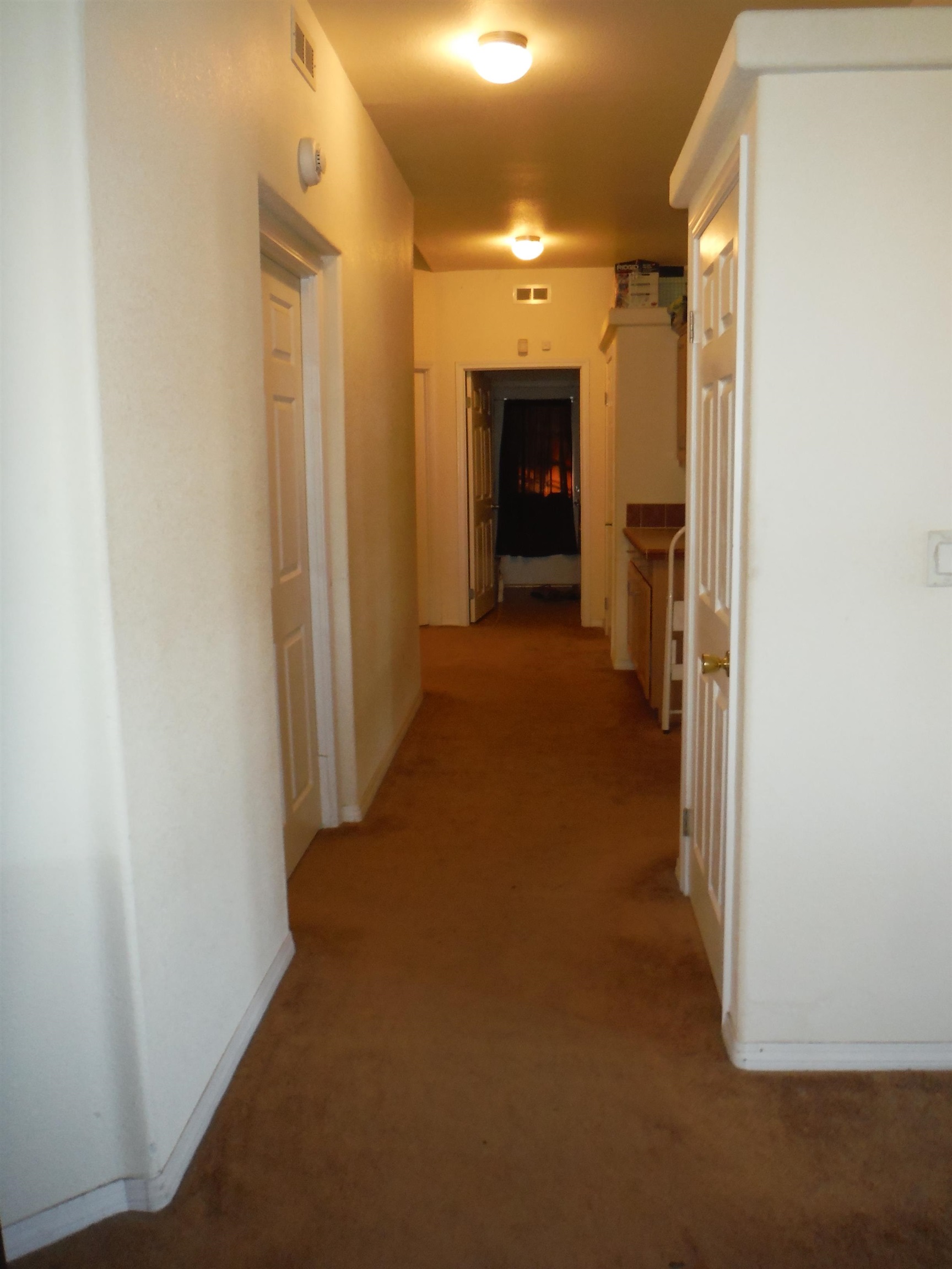 91 Lunalilo St Property Photo 8