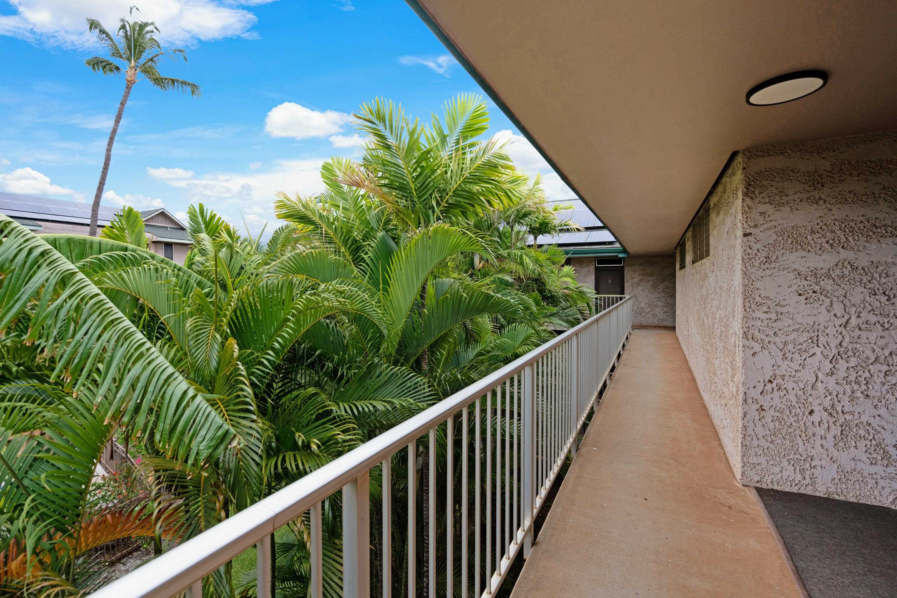 35 Walaka St Property Photo 18