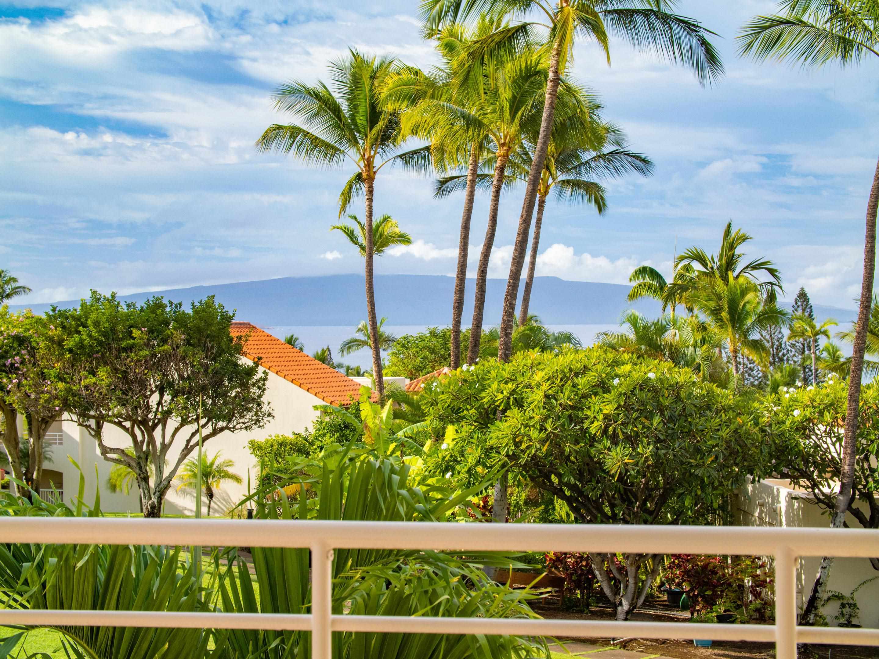 3150 Wailea Alanui Dr Property Photo 15