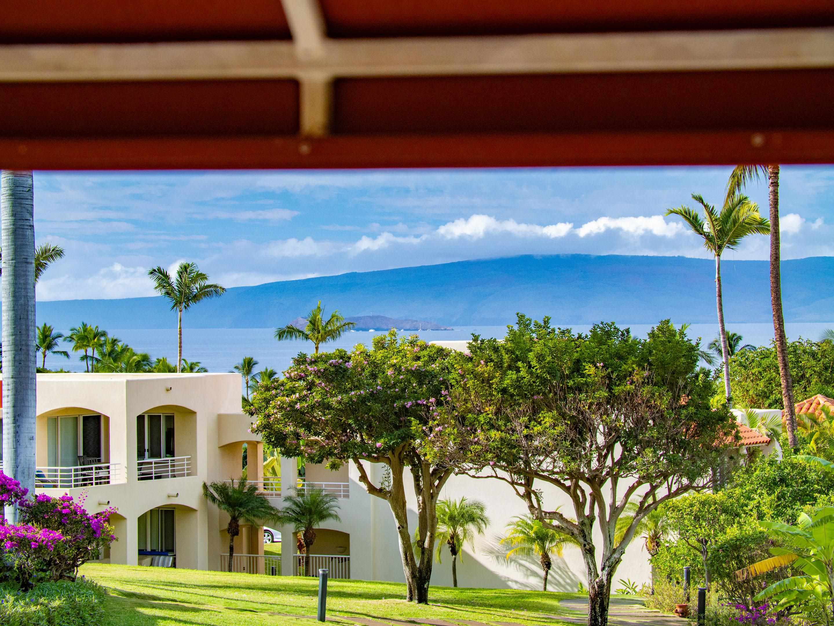 3150 Wailea Alanui Dr Property Photo 26