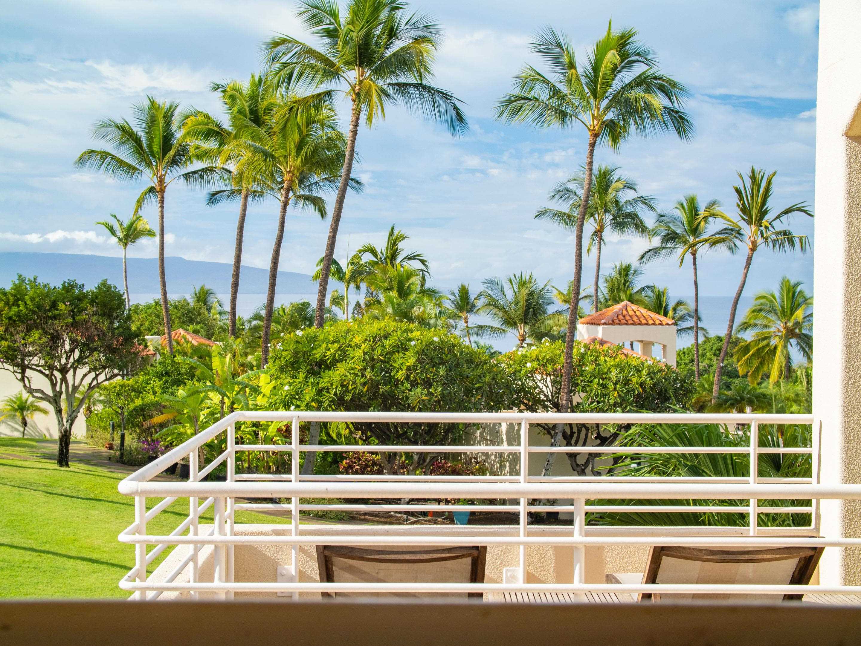 3150 Wailea Alanui Dr Property Photo 27