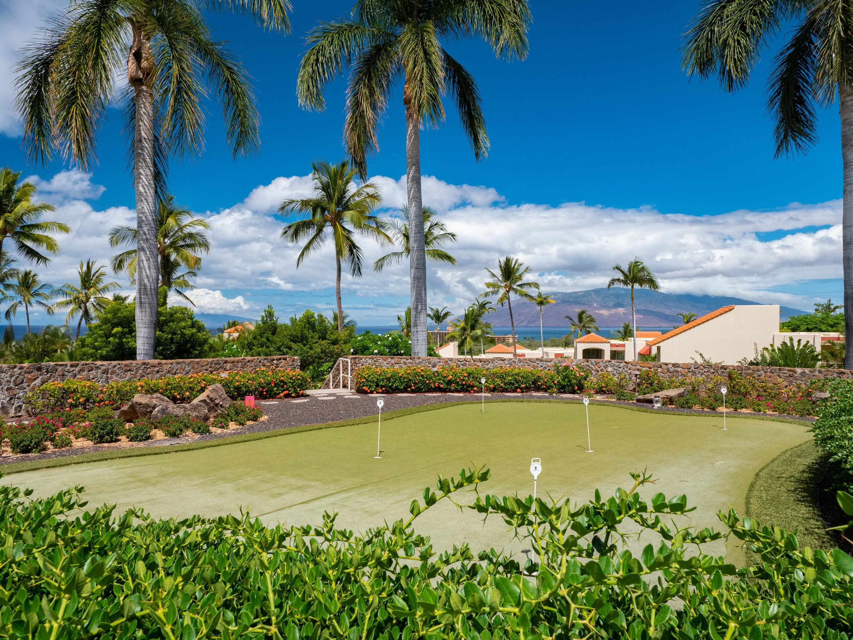 3150 Wailea Alanui Dr Property Photo 39