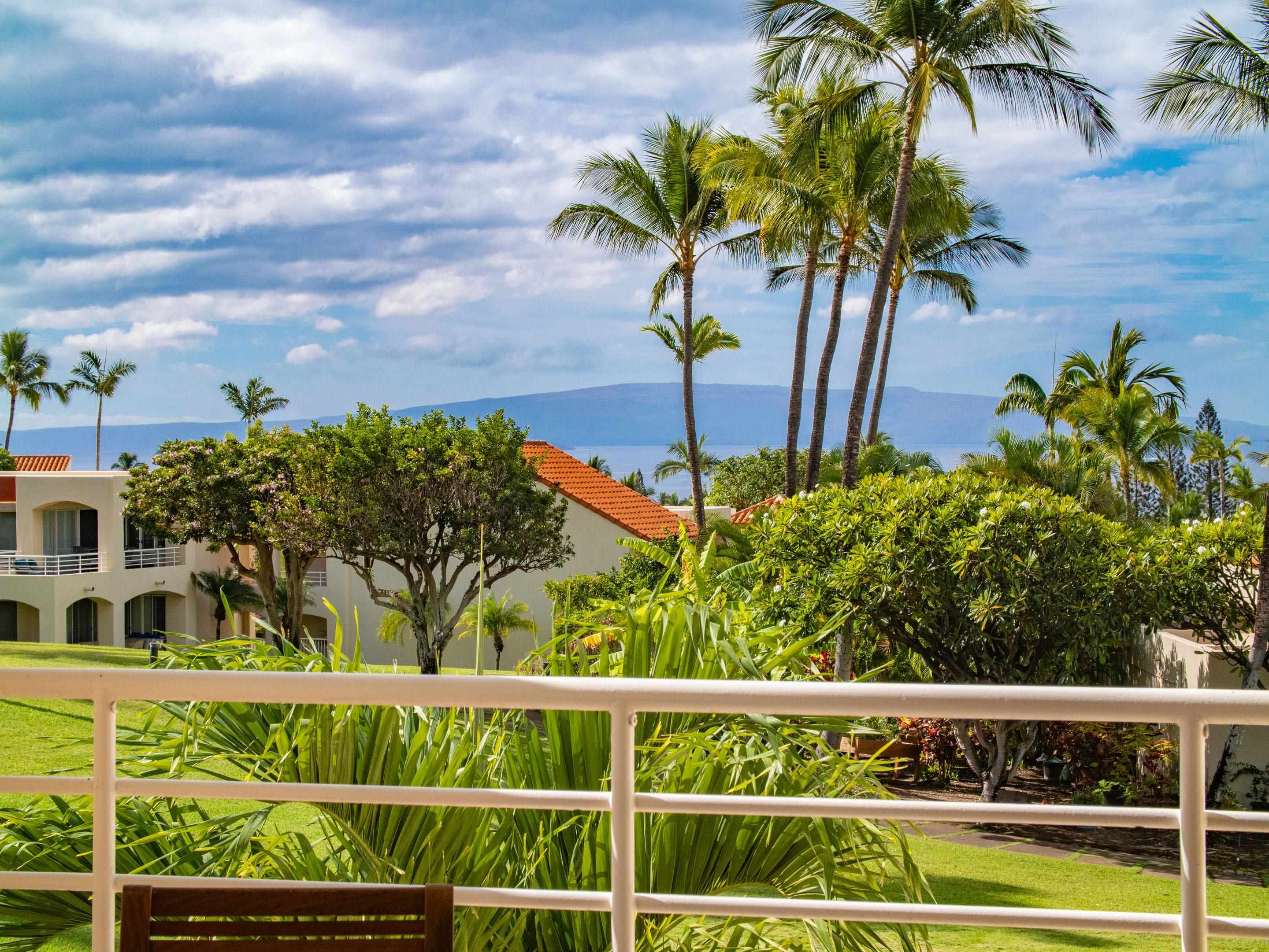 3150 Wailea Alanui Dr Property Photo 47