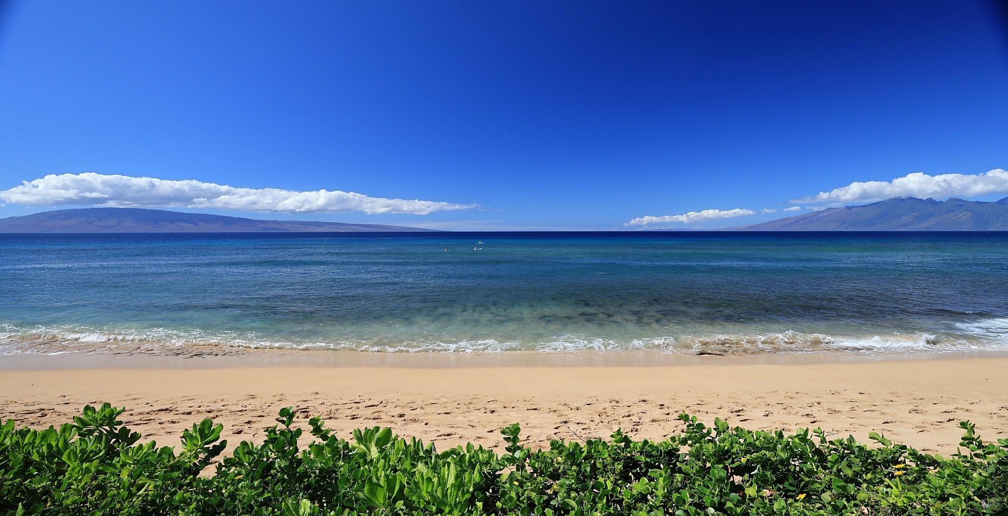 110 Kaanapali Shores Pl Property Photo 4