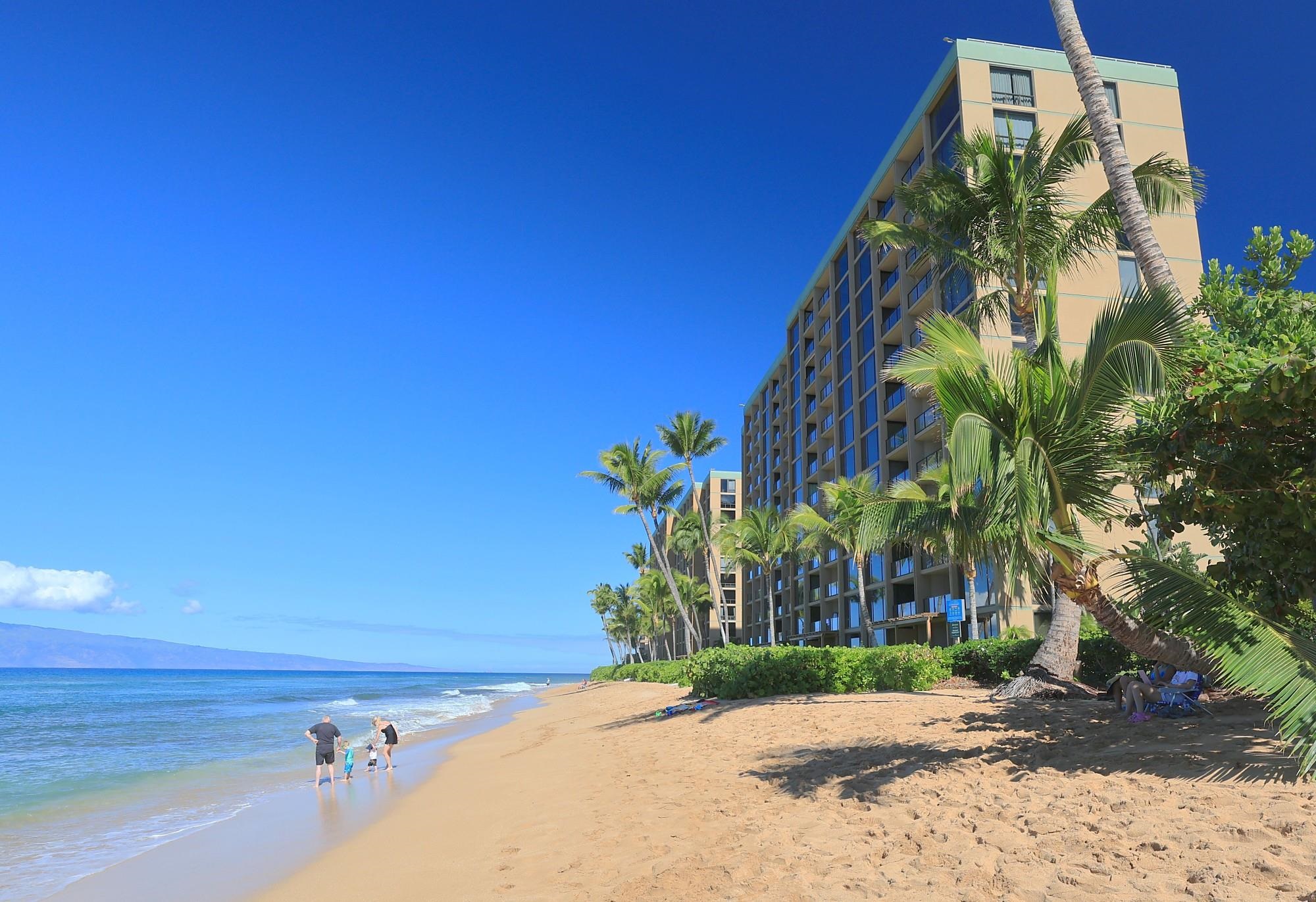 110 Kaanapali Shores Pl Property Photo 25