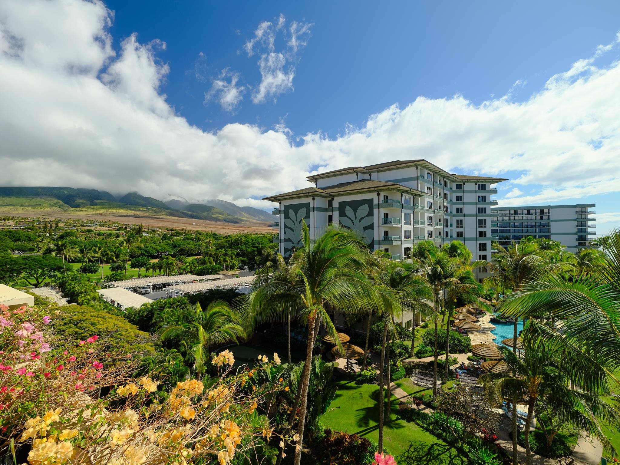 50 Nohea Kai Dr Property Photo 17