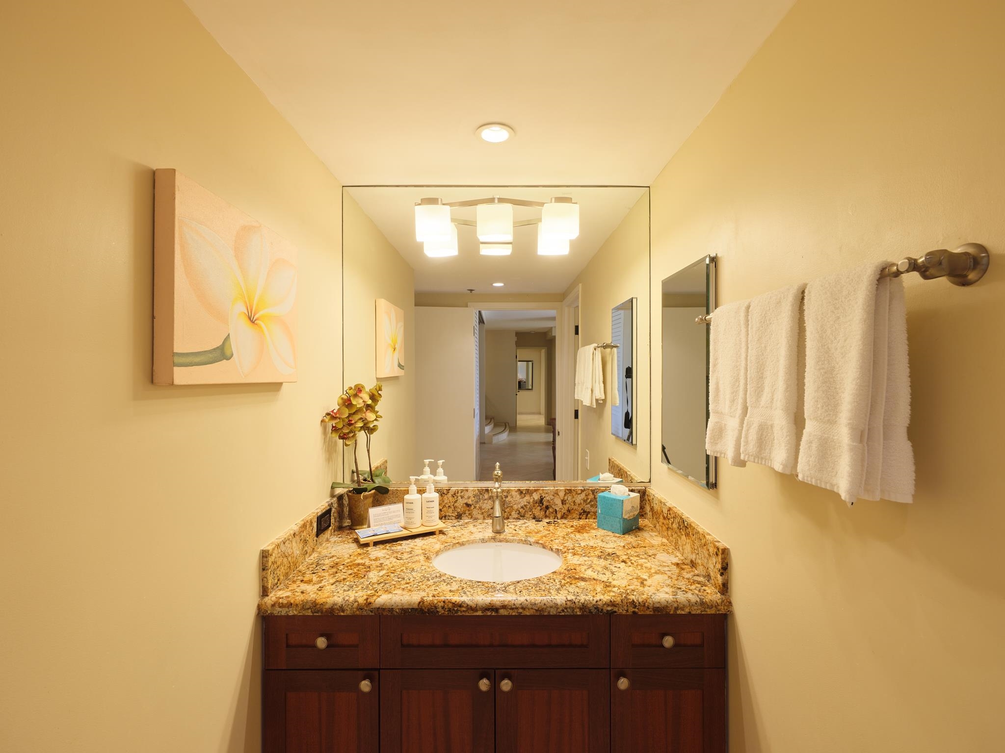 50 Nohea Kai Dr Property Photo 28
