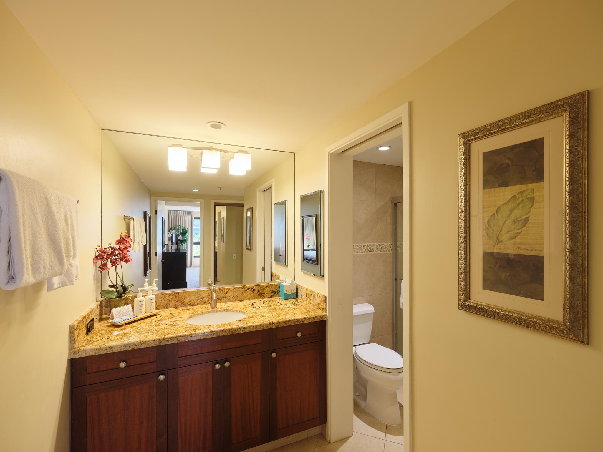 50 Nohea Kai Dr Property Photo 34