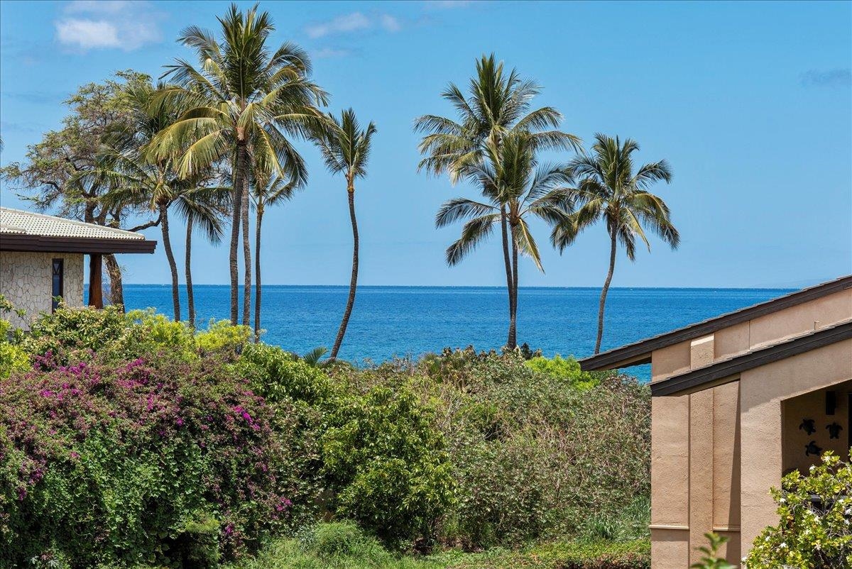 3300 Wailea Alanui Dr Property Photo 1