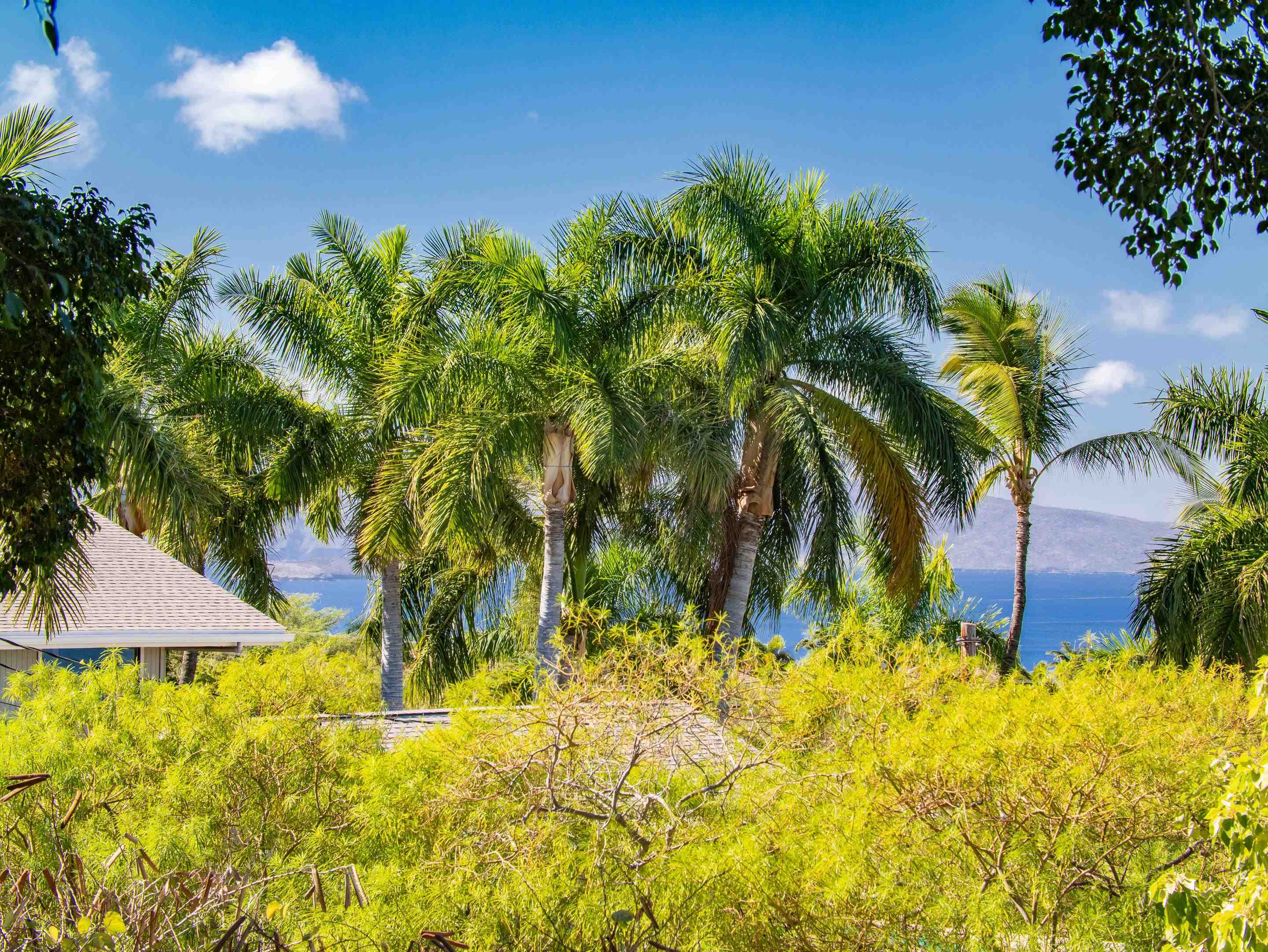 566 Mikioi Pl Property Photo 11