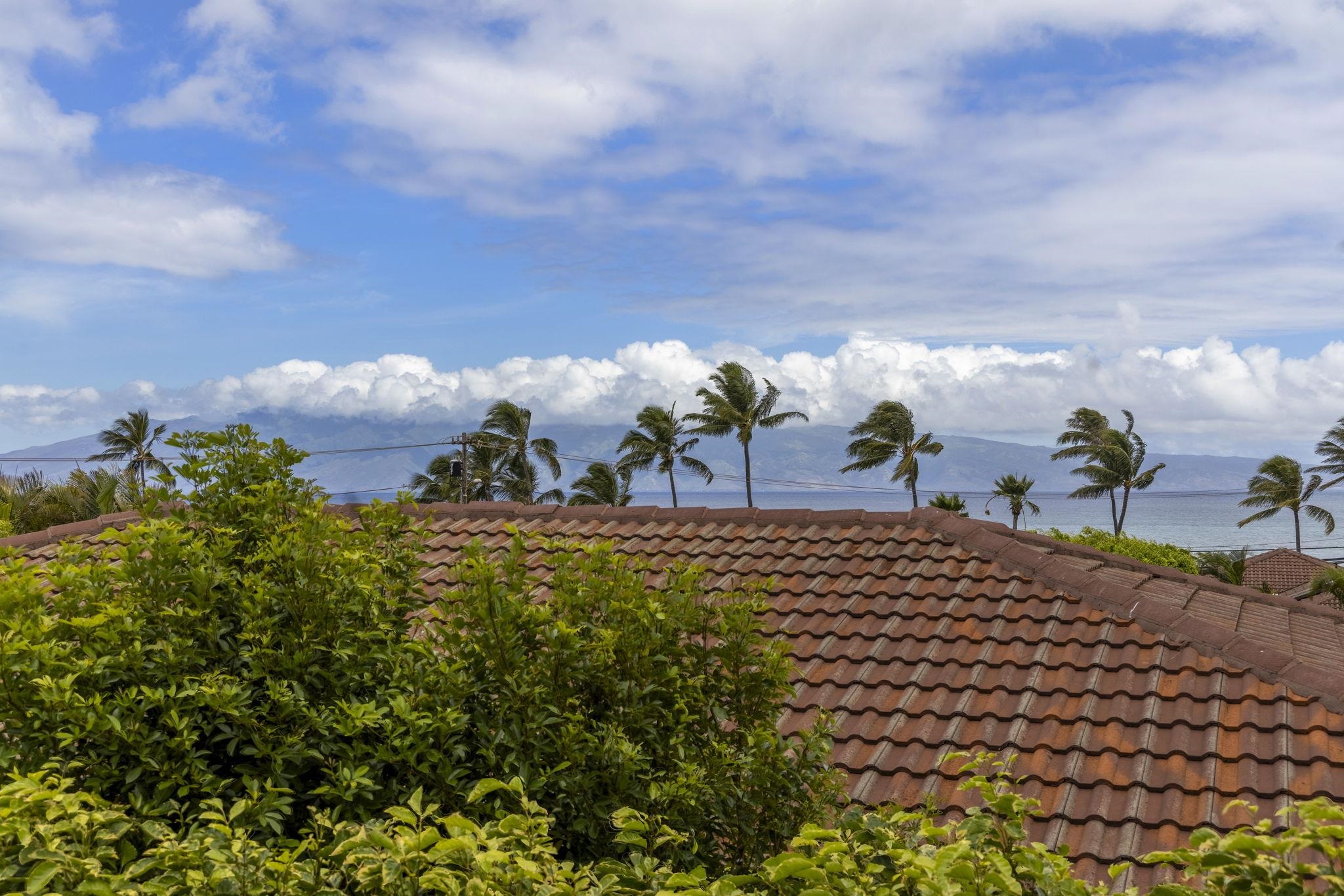 4087 N Paua Way Property Photo 15