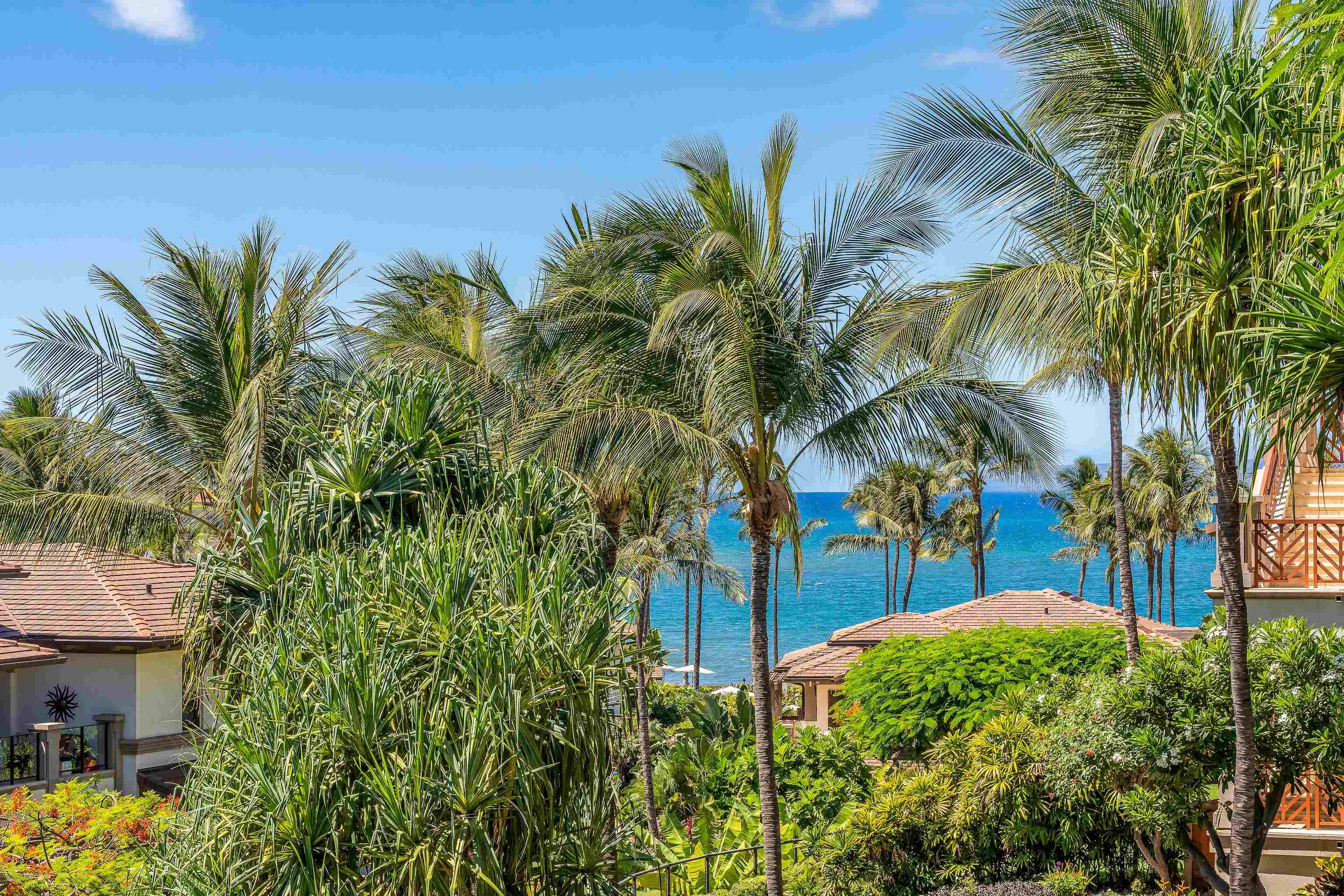 3800 Wailea Alanui Dr Property Photo 10