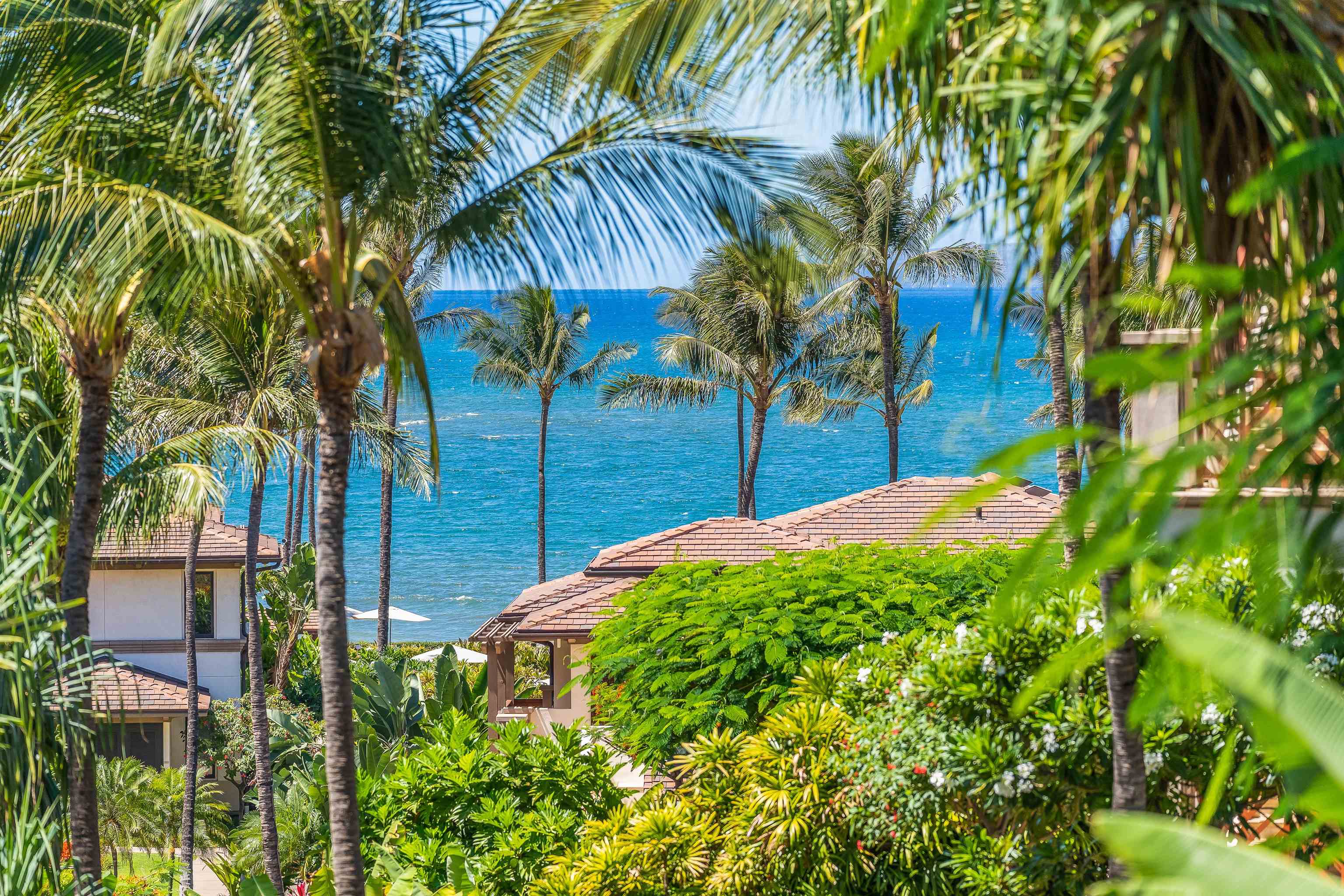 3800 Wailea Alanui Dr Property Photo 14